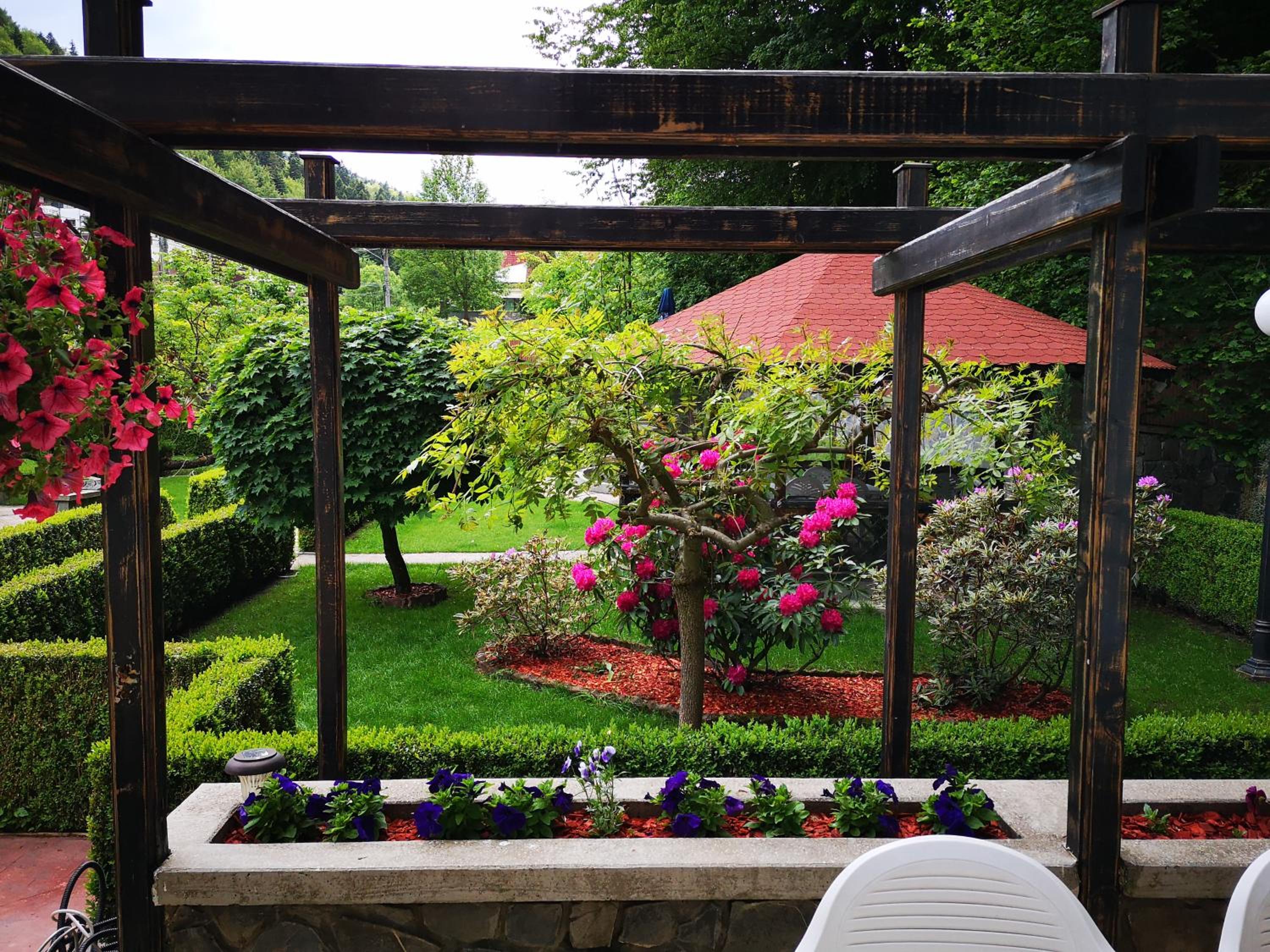 Photo 12