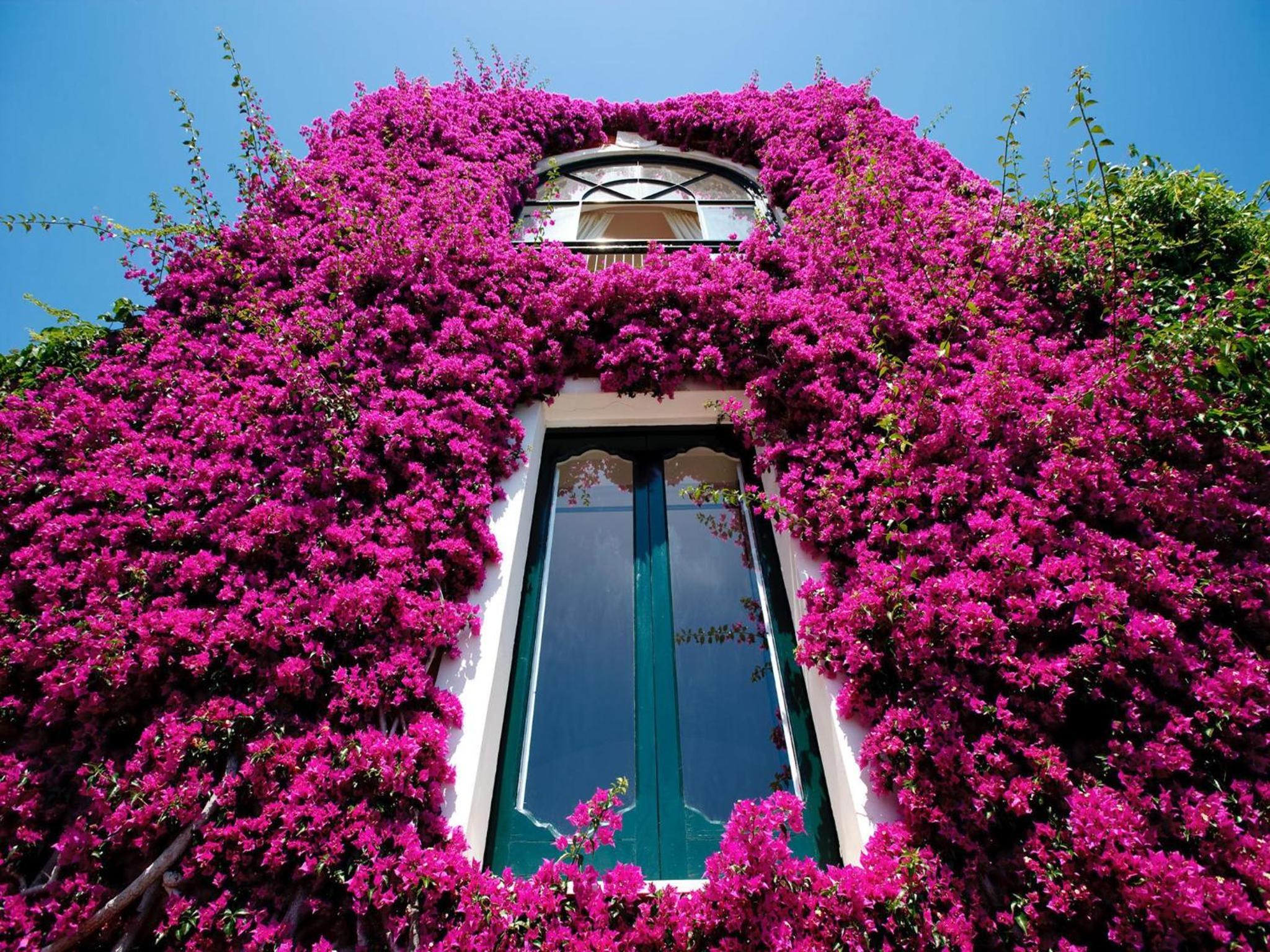 Villa dei Fisici Positano