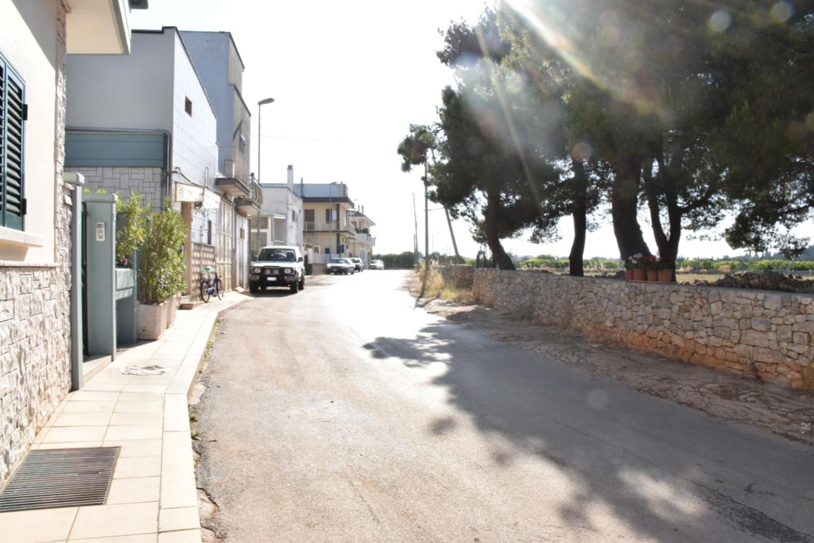 Photo 42