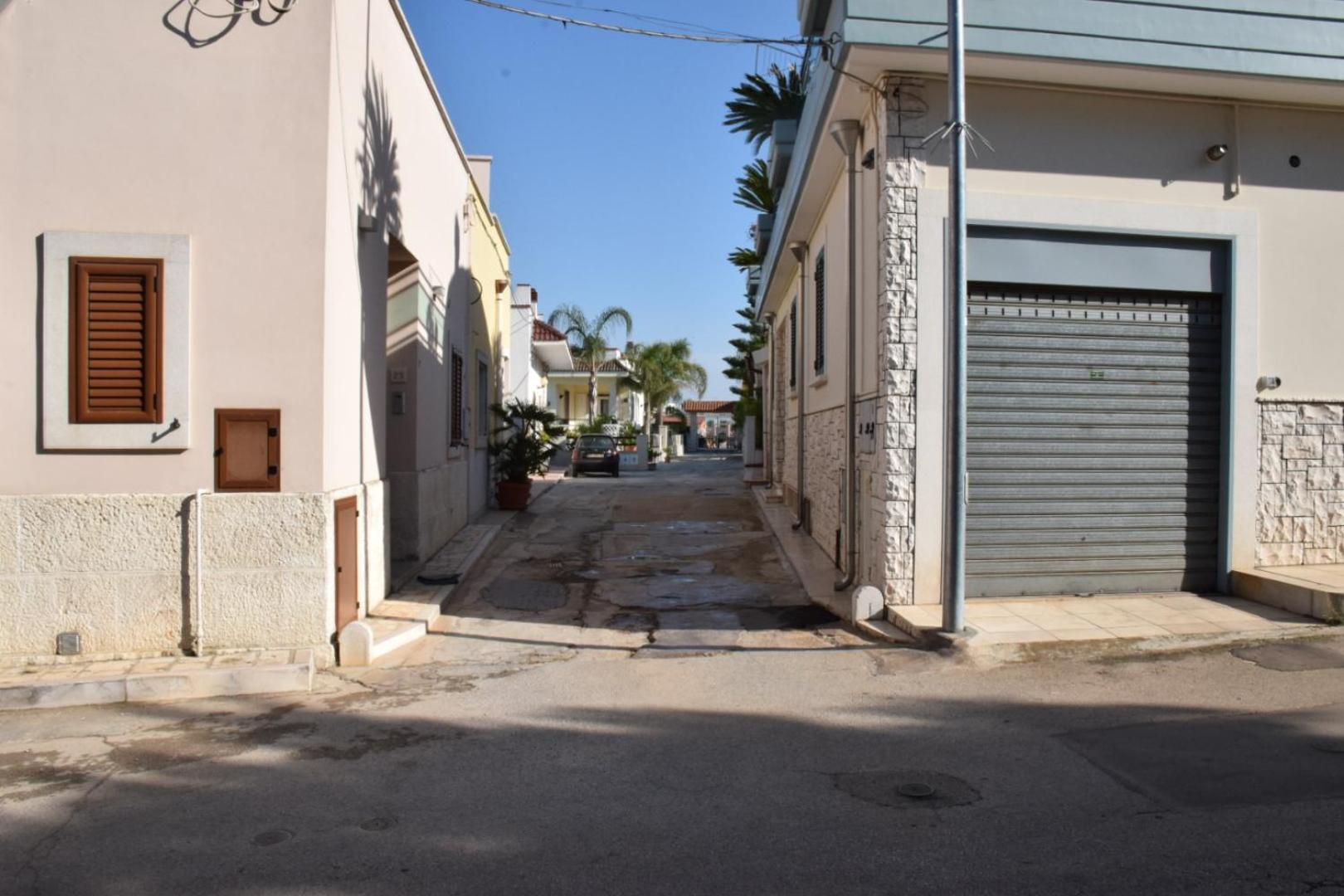 Photo 41
