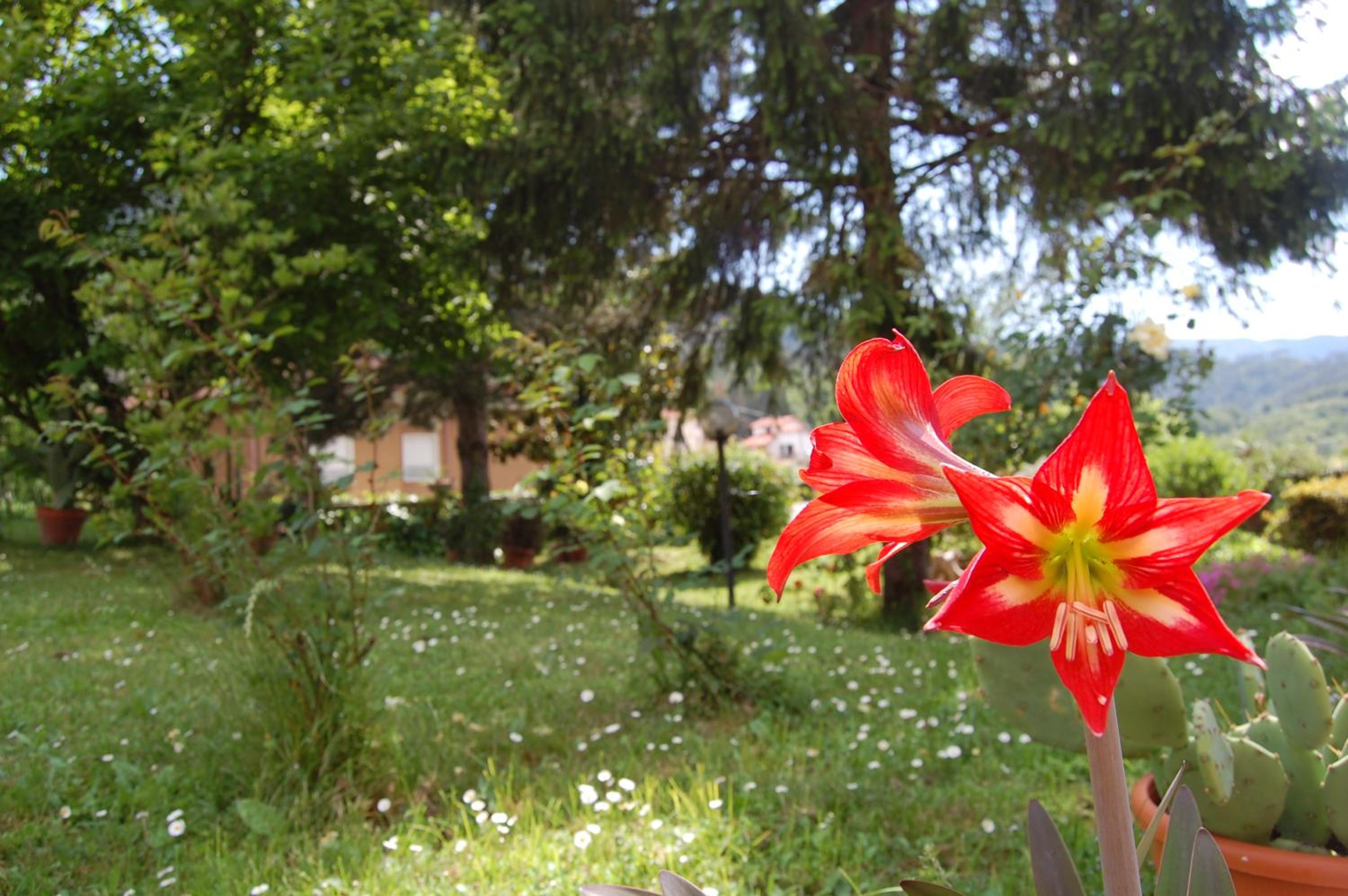 Photo 42