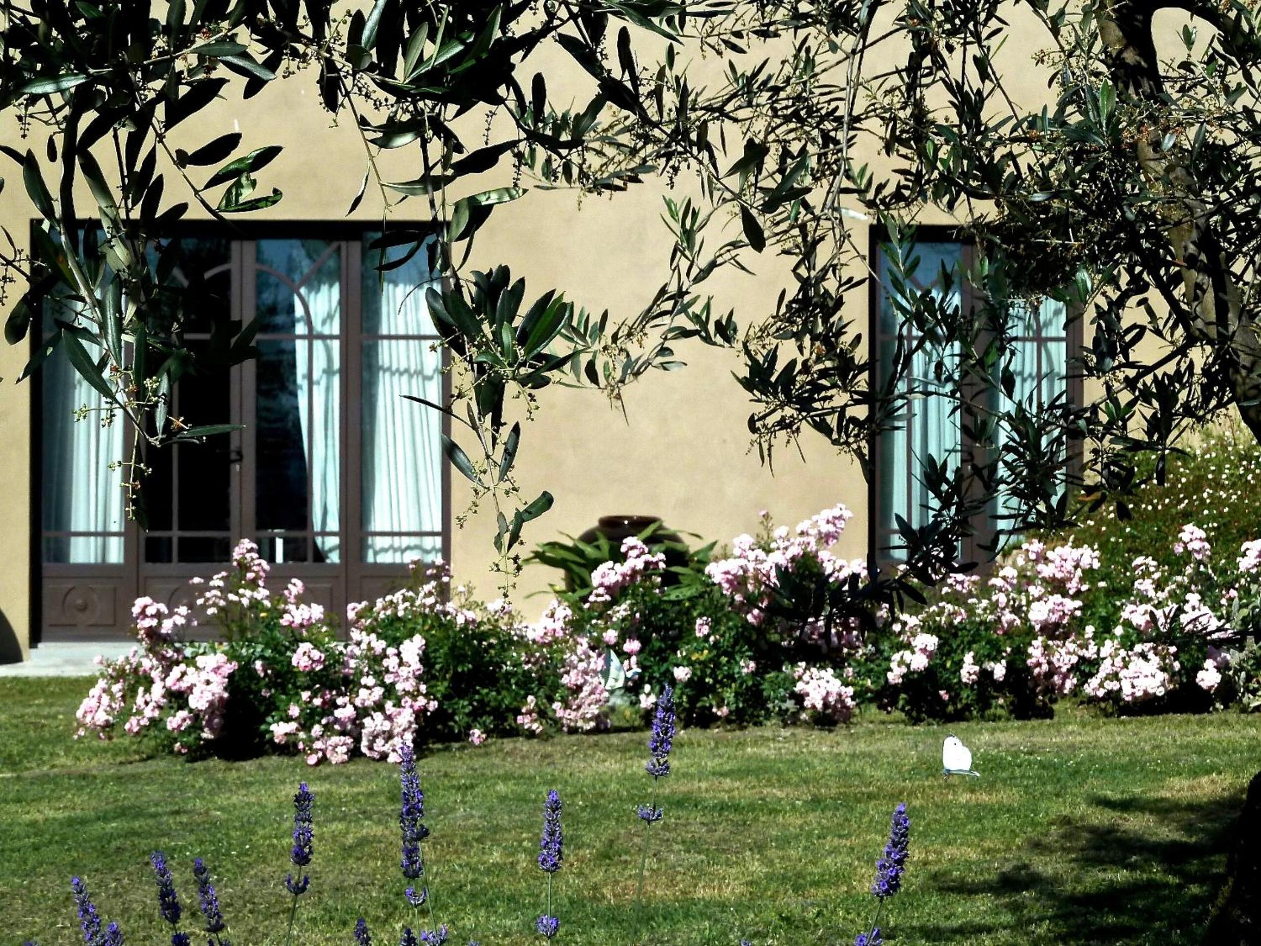 Photo 16