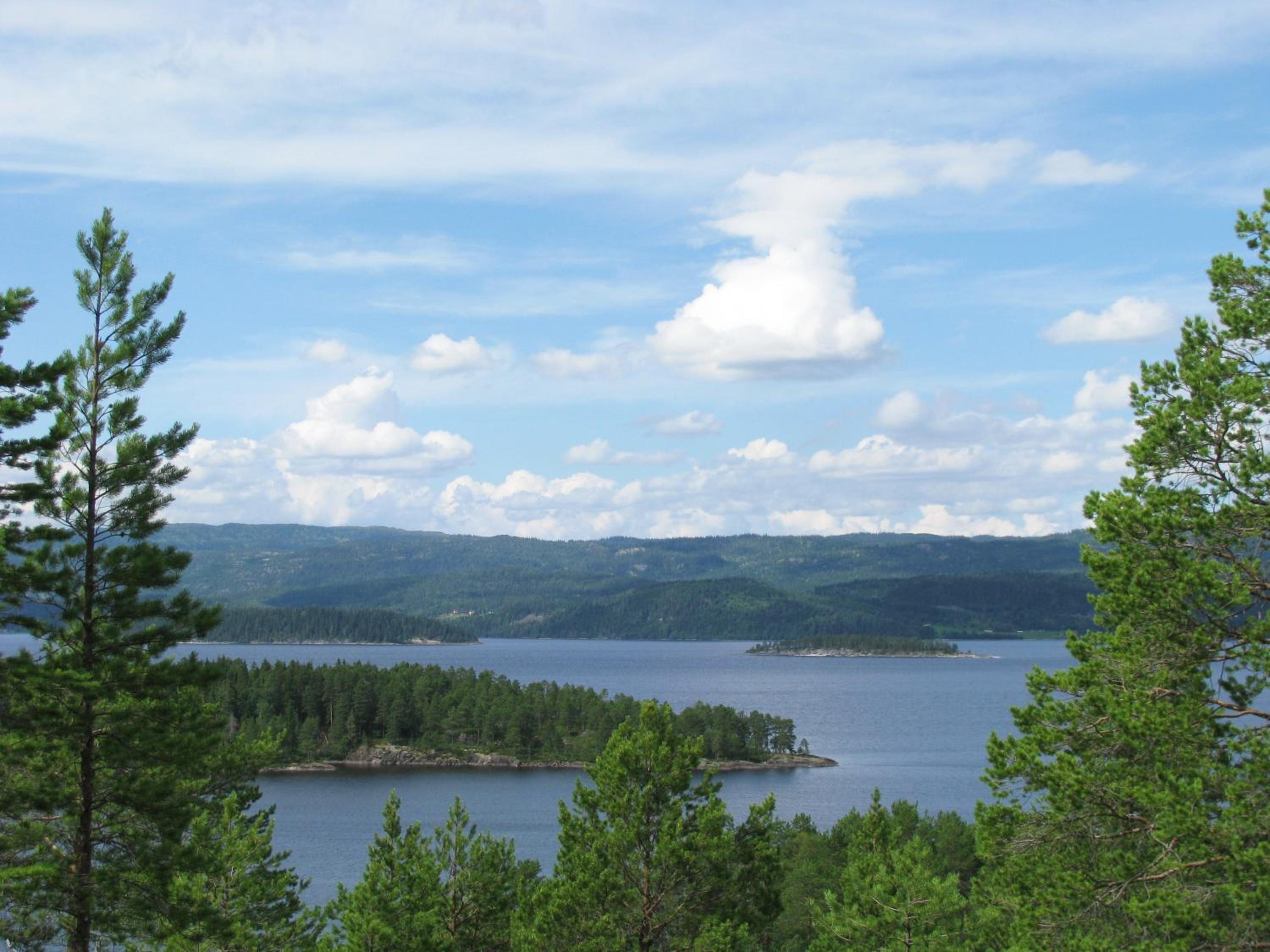 Photo 20