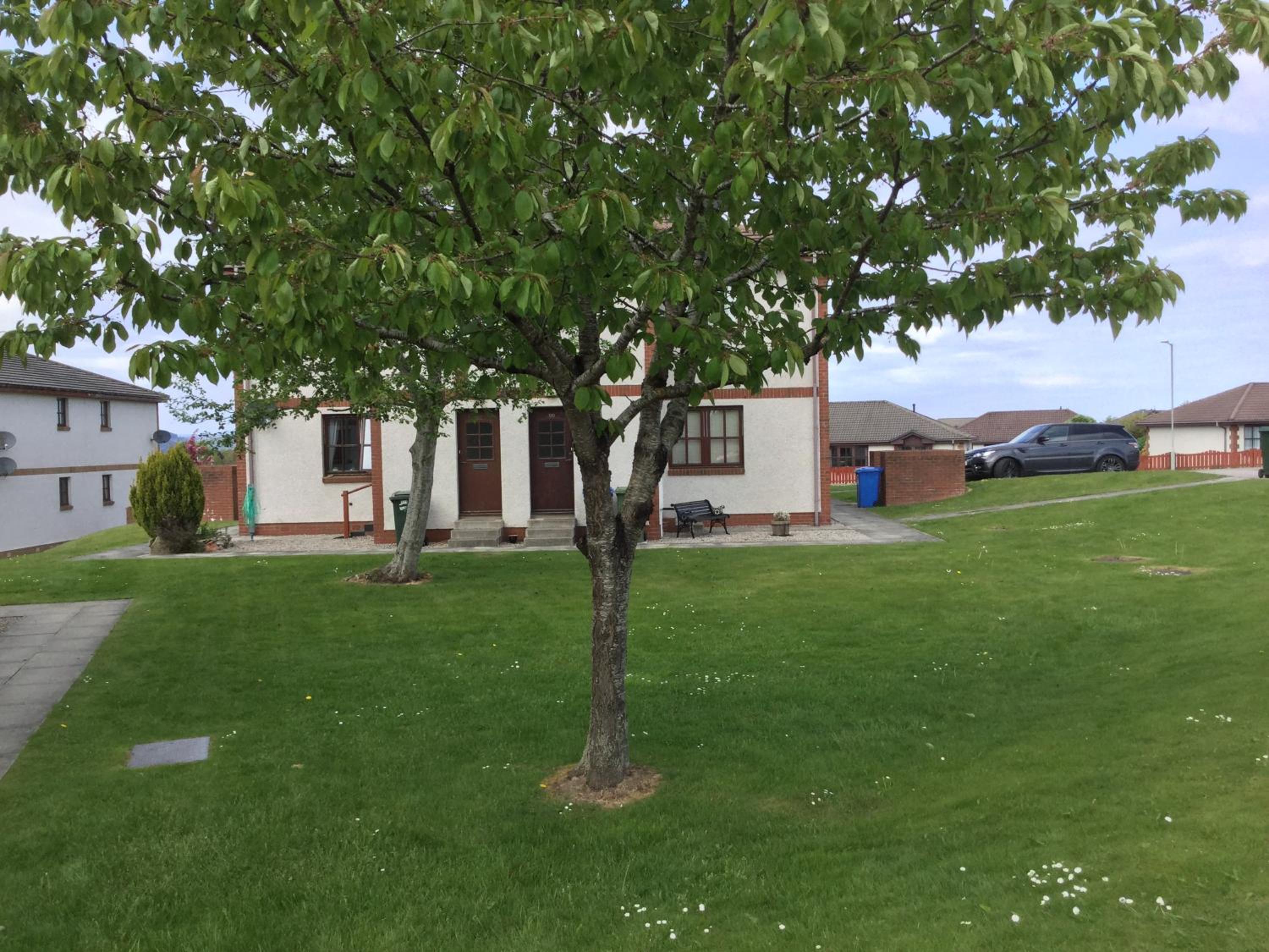 One-Bedroom Apartment - Wyvis Free Parking