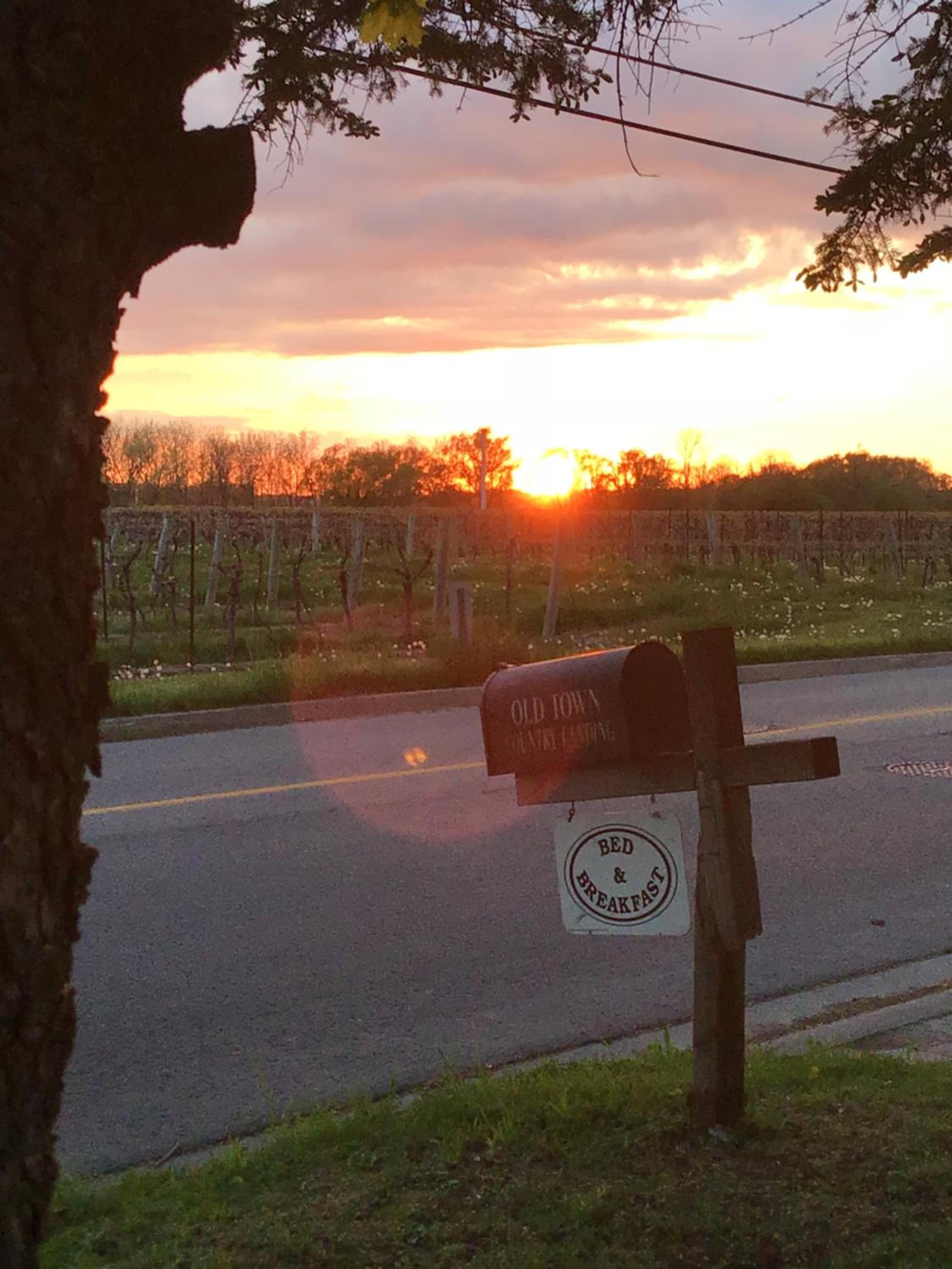 Old Town Country Landing - Property Image 12