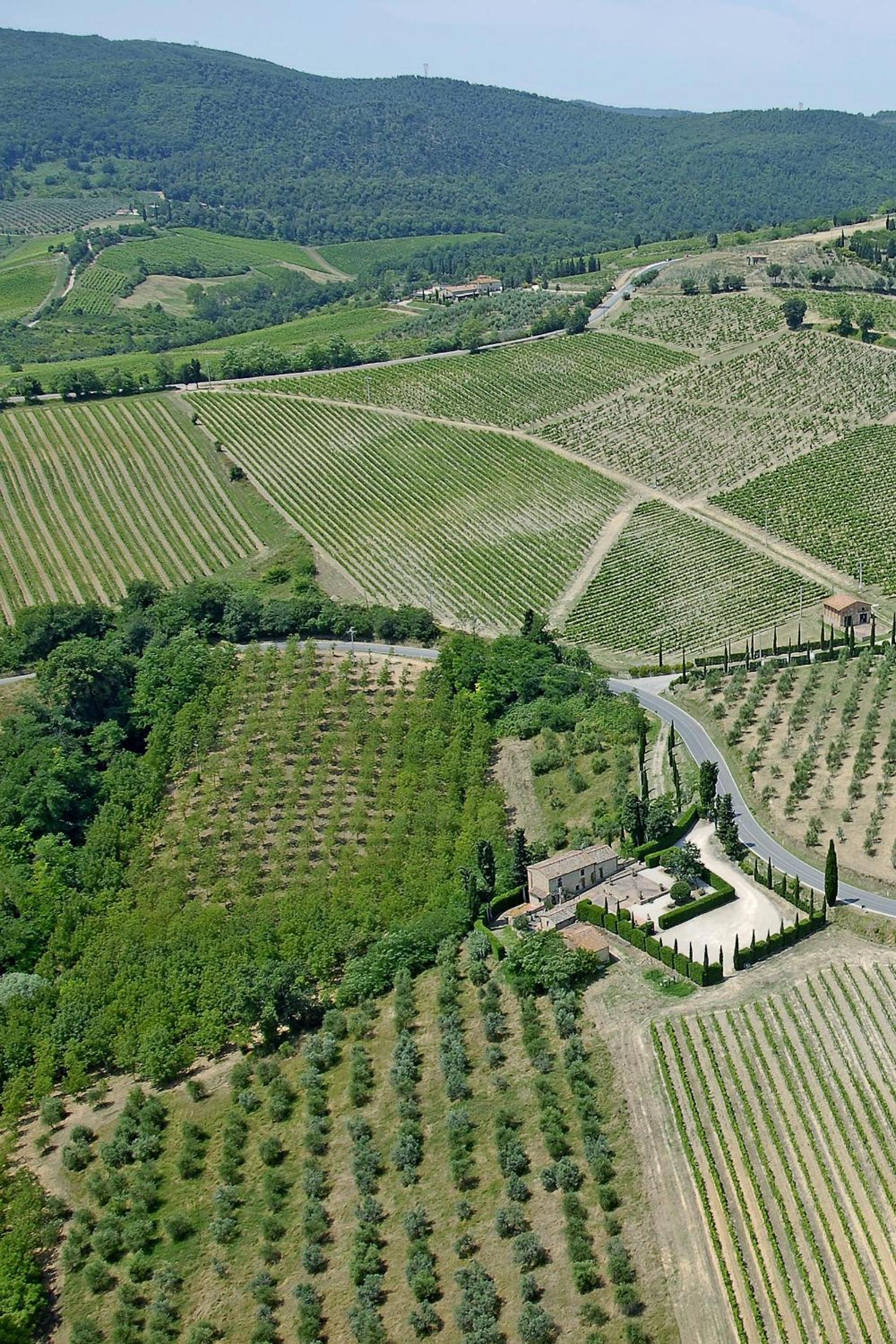 Rocca degli Olivi