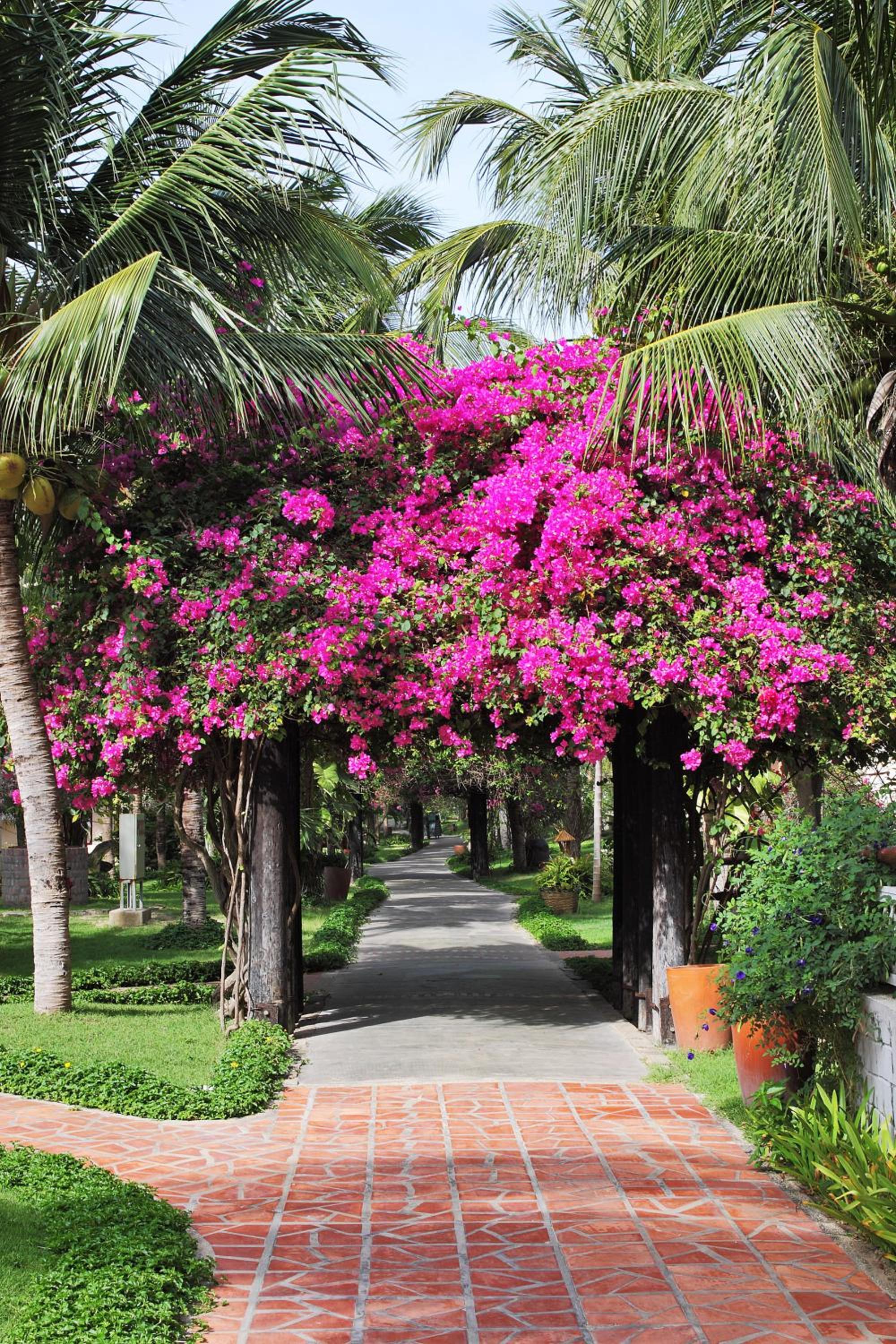 Saigon Mui Ne Resort view 5