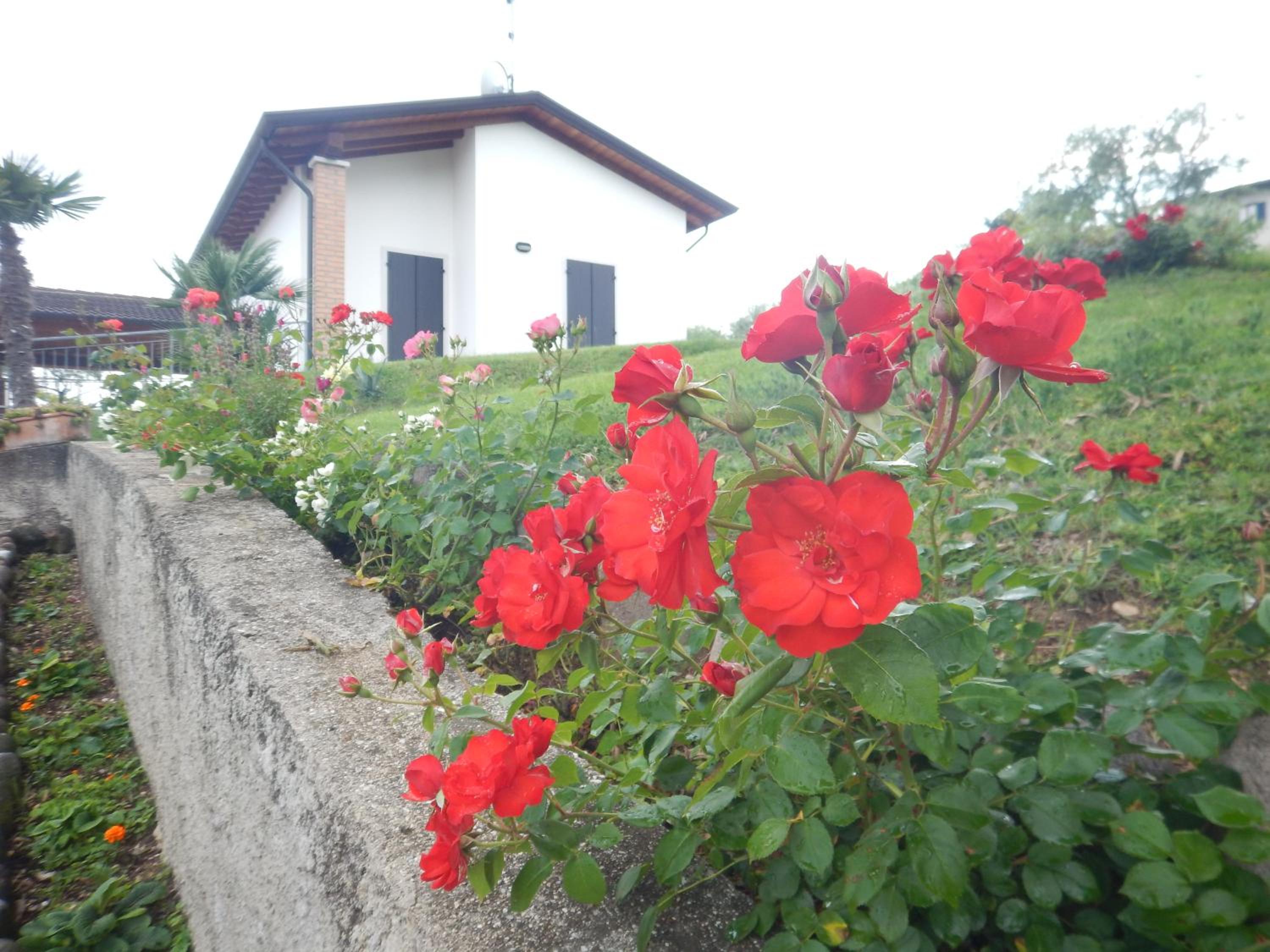 Photo 47