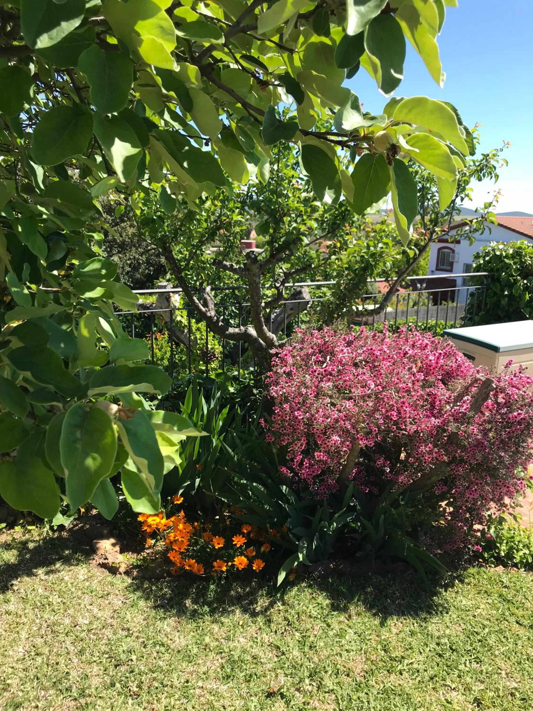 Photo 46