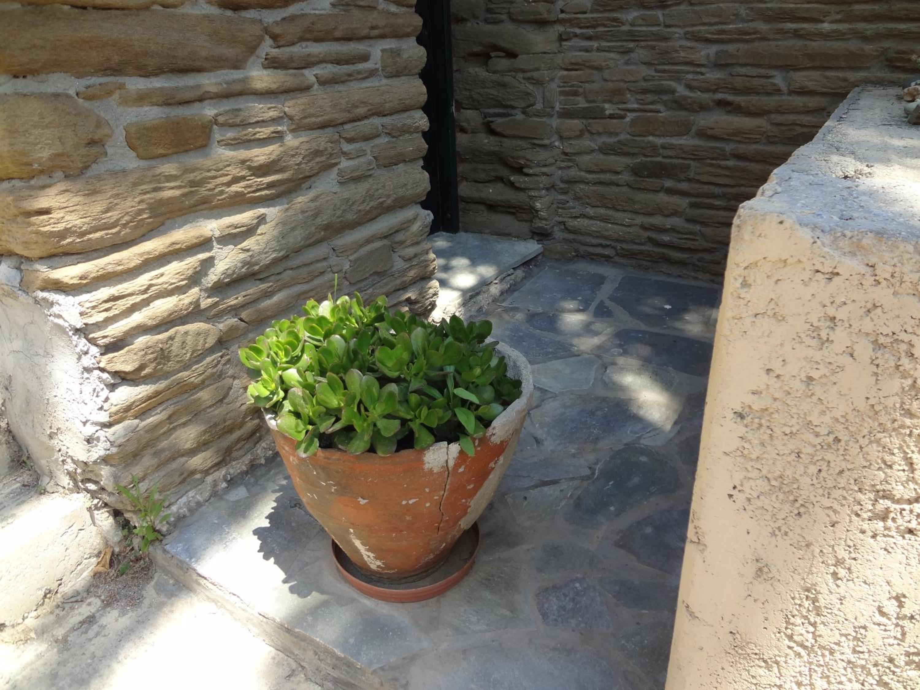 Photo 36