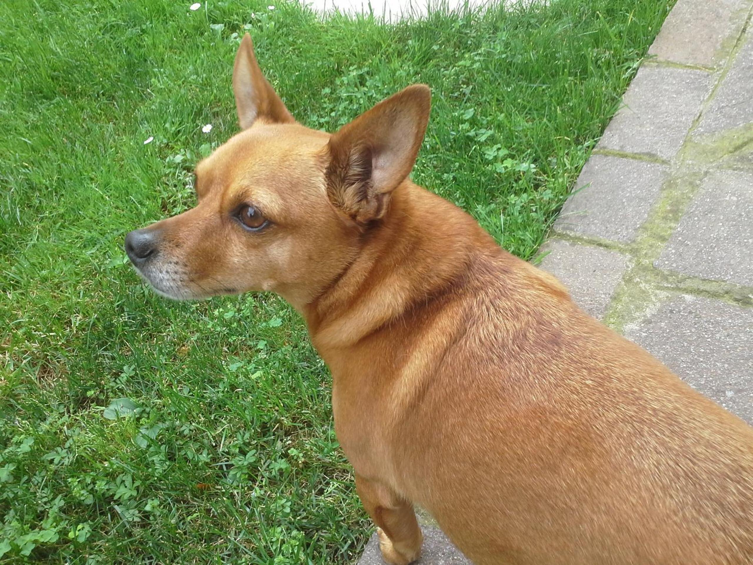 Photo 16
