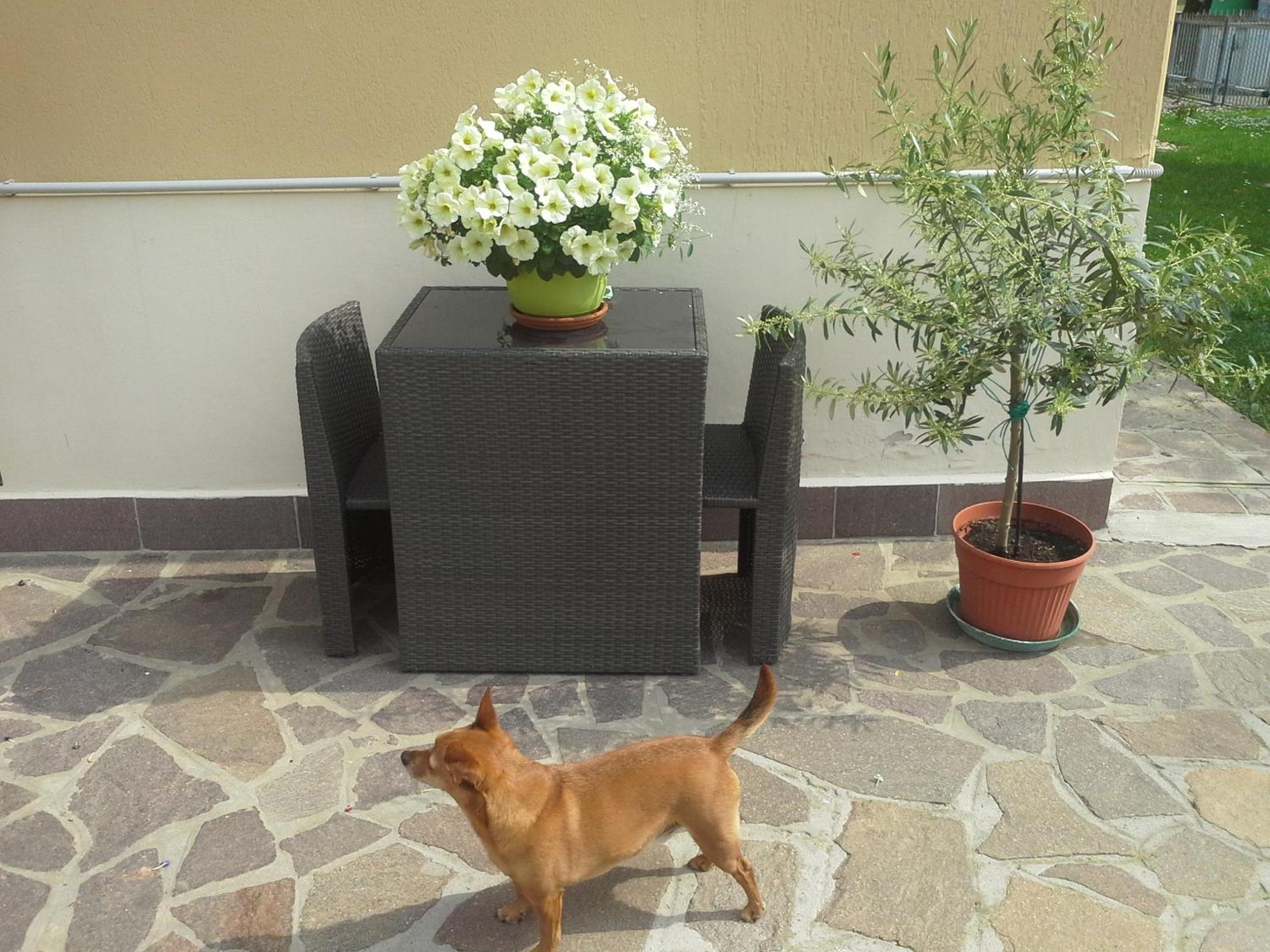 B&B Ciccilia view 2