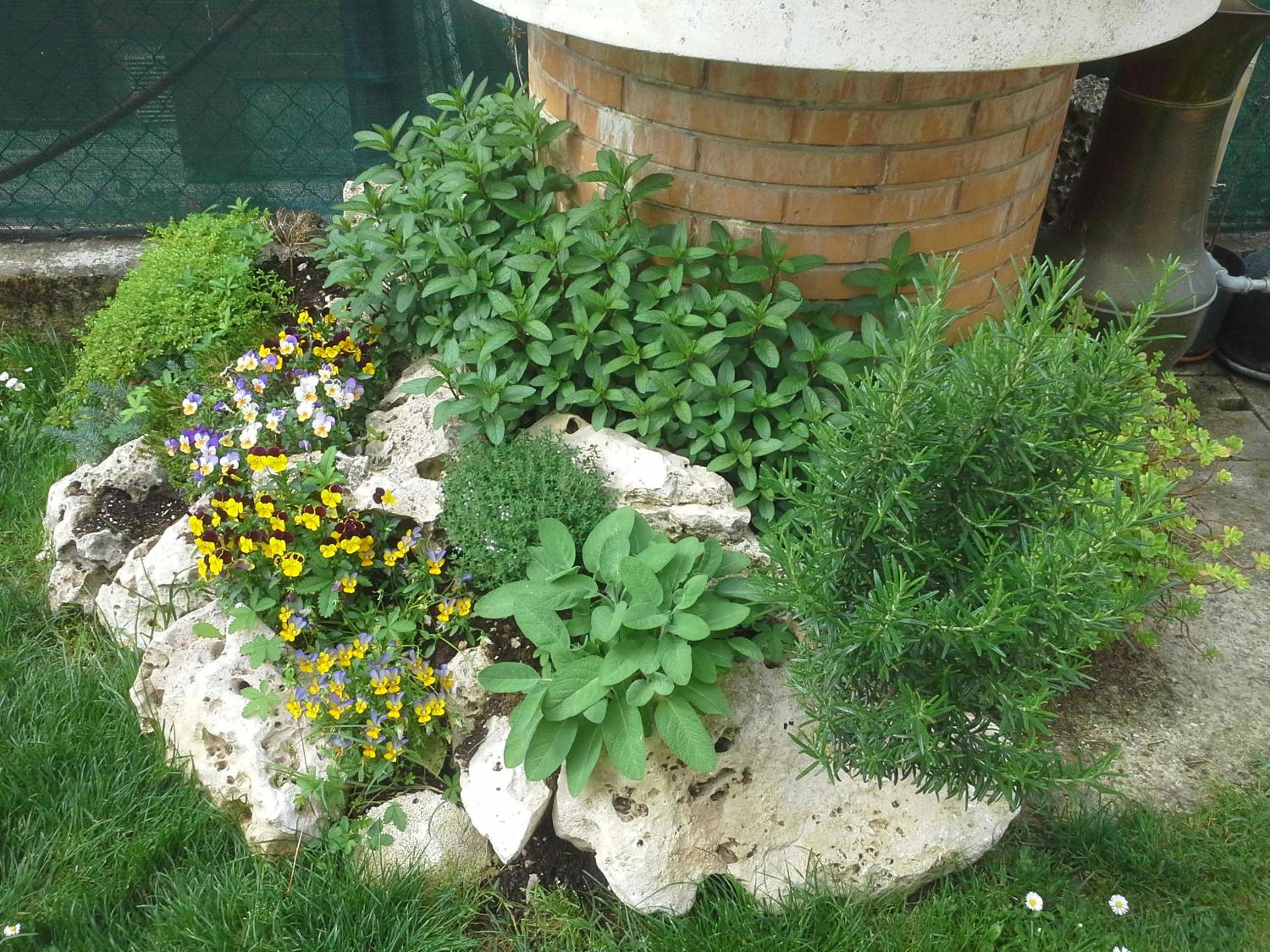 Photo 10