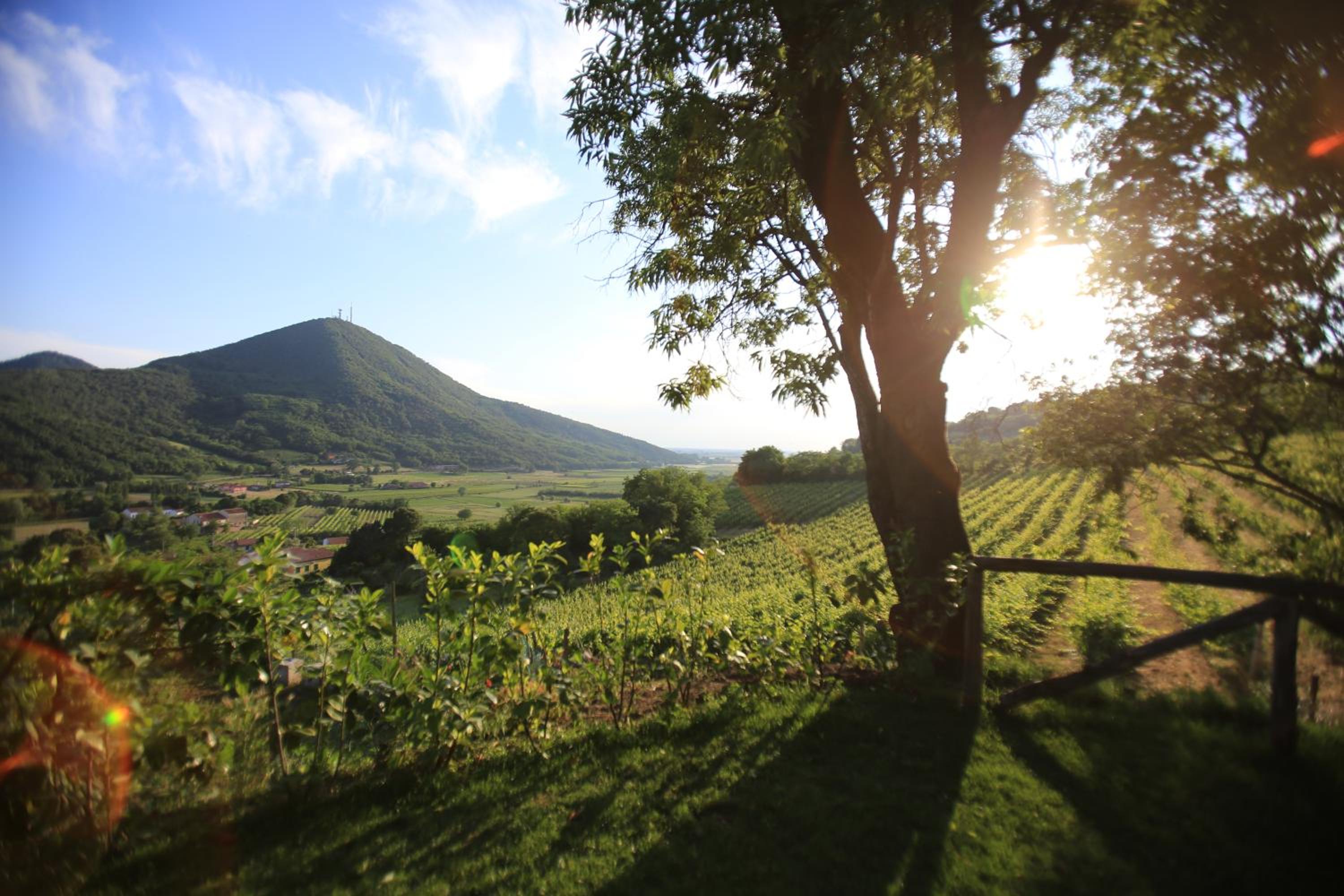 I grilli b&b view 3