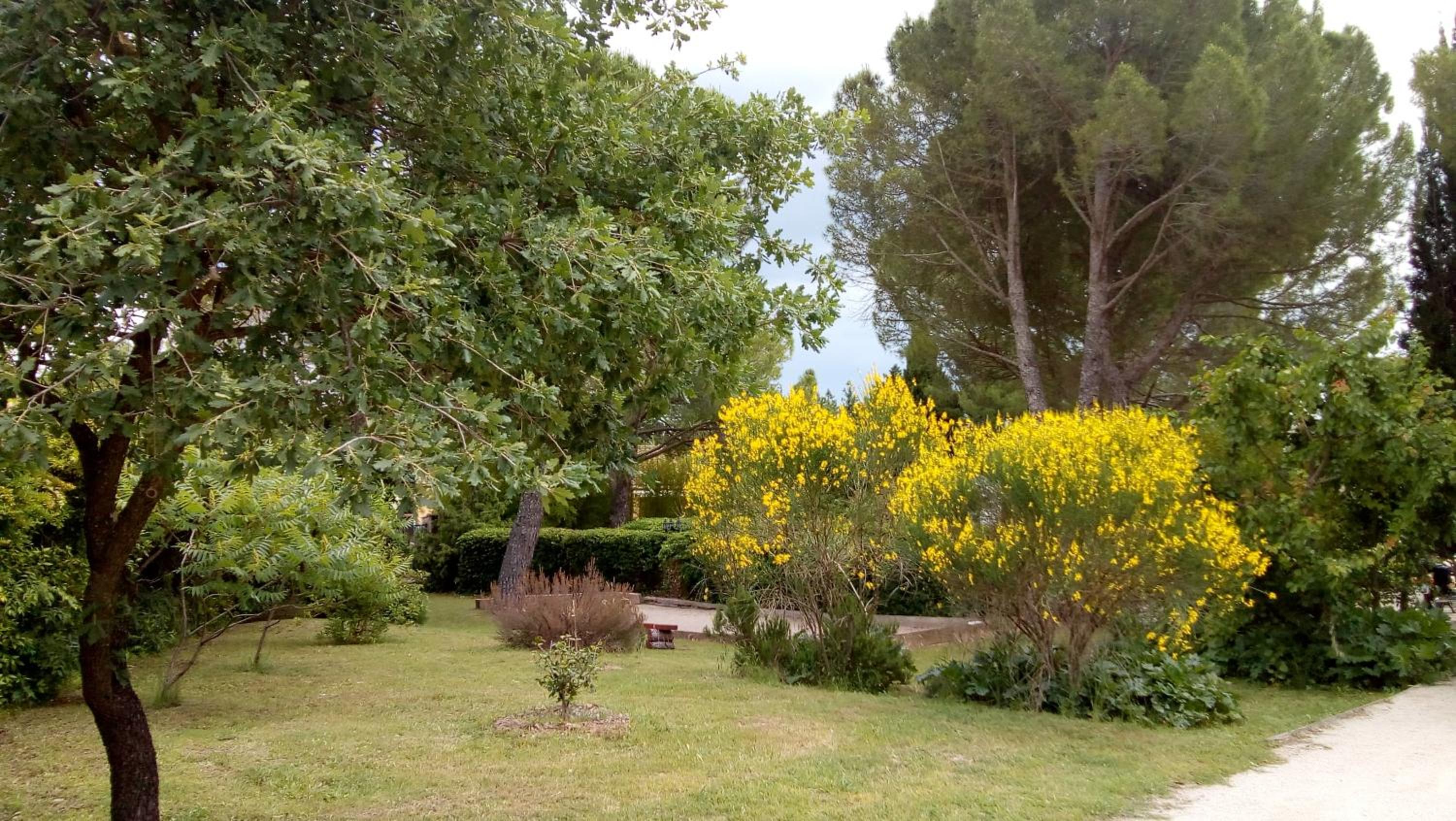 Photo 18