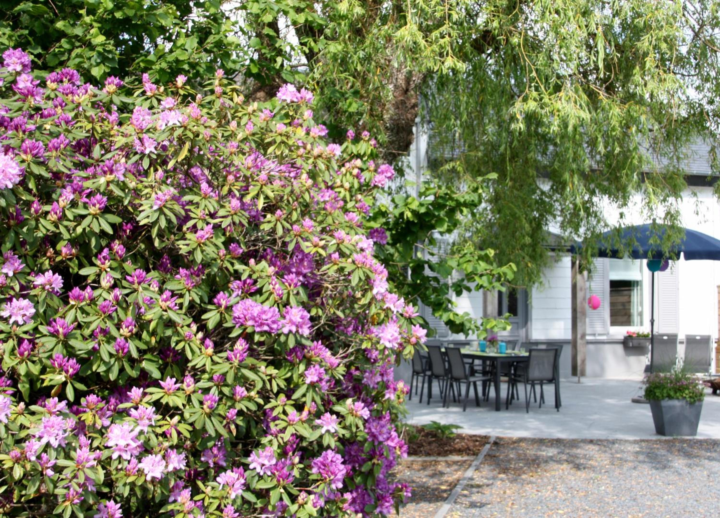 La Petite Maison Maqua