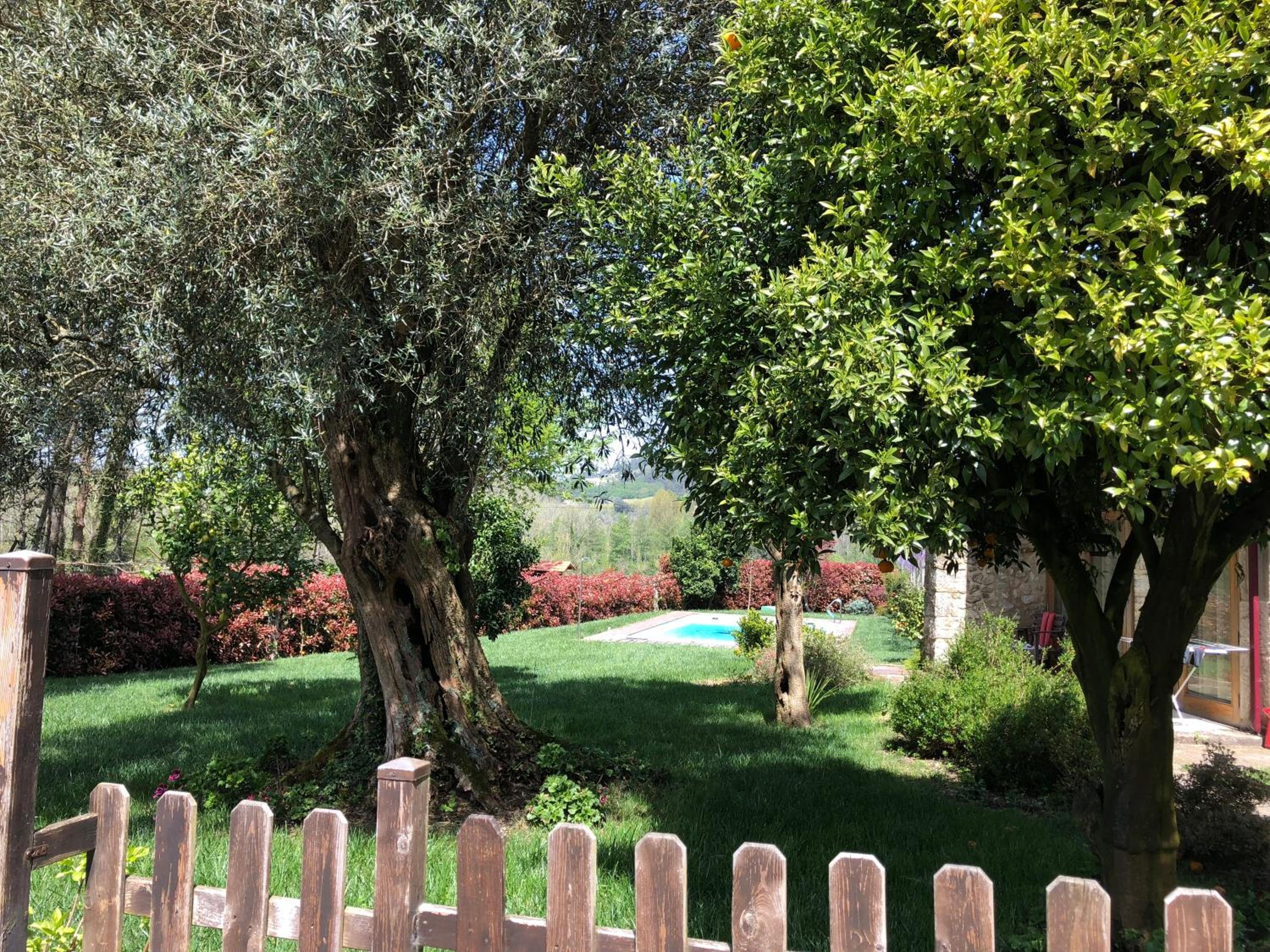 Photo 21
