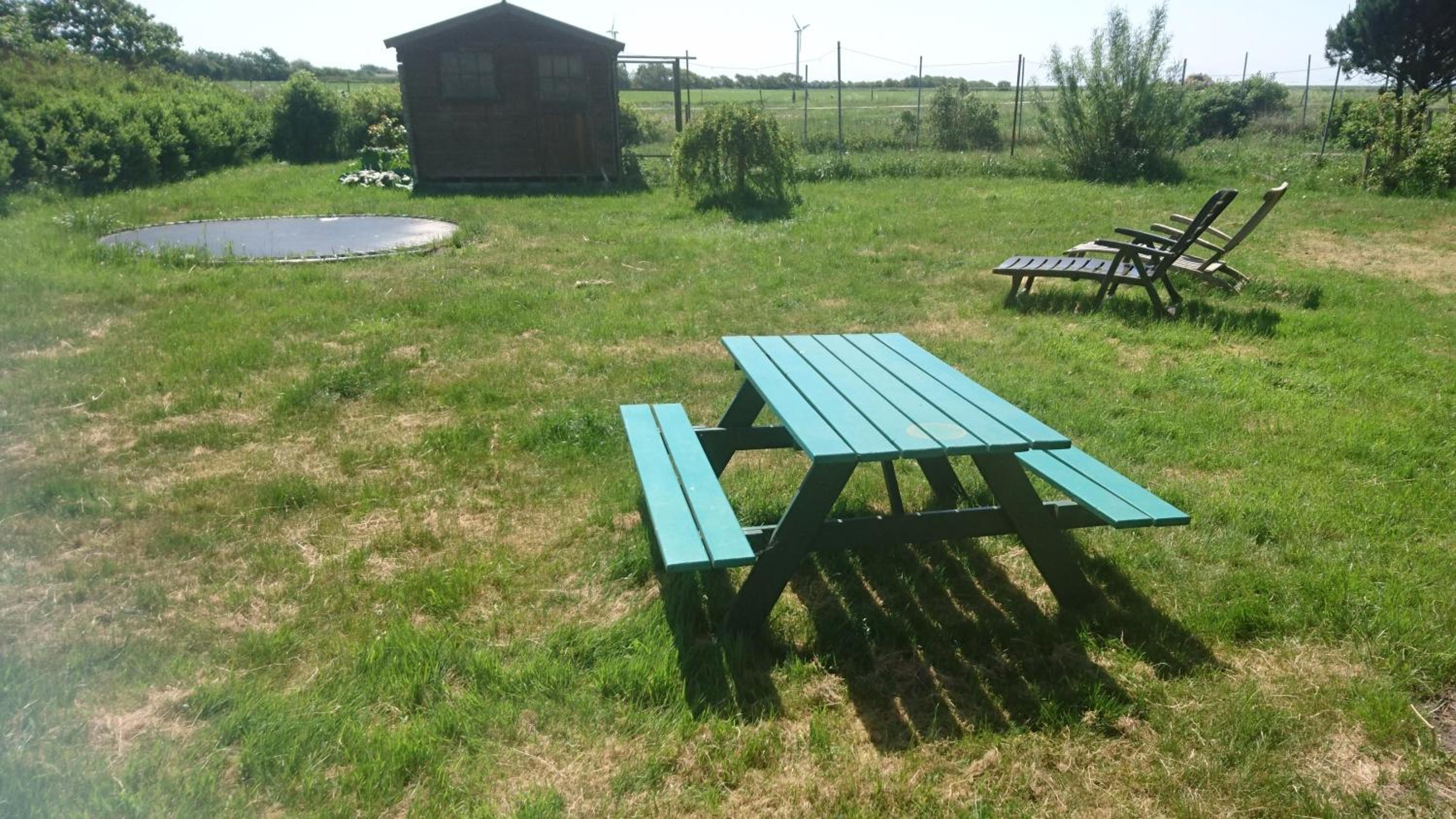 Photo 11