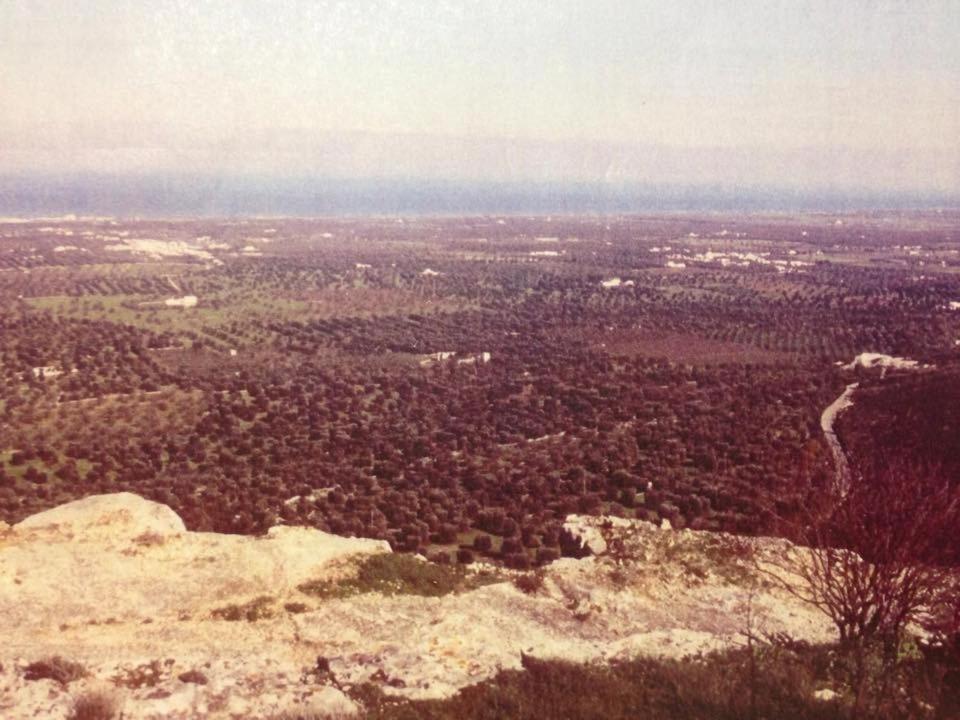 Photo 45