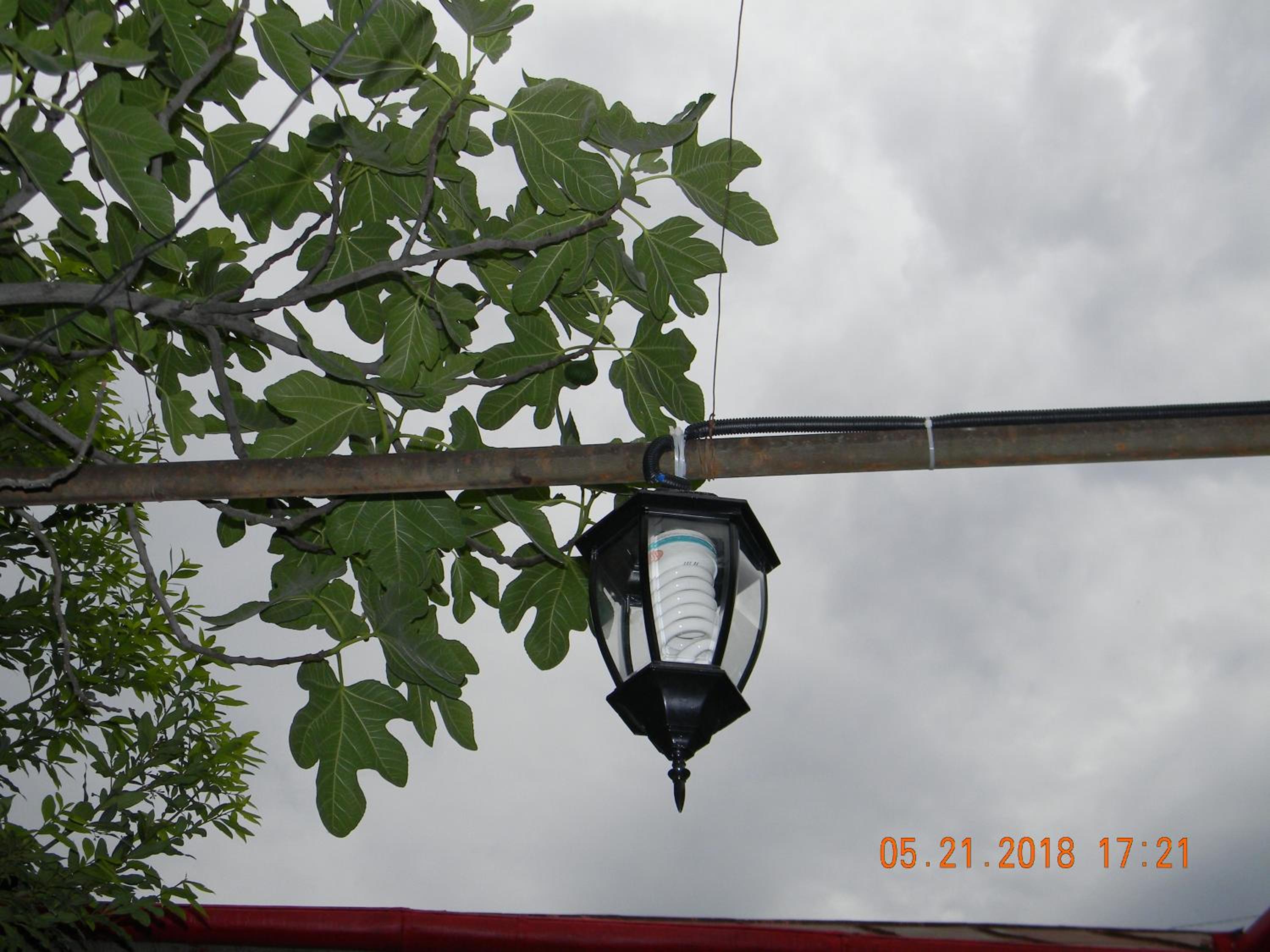 GEO Vake Guest House view 5