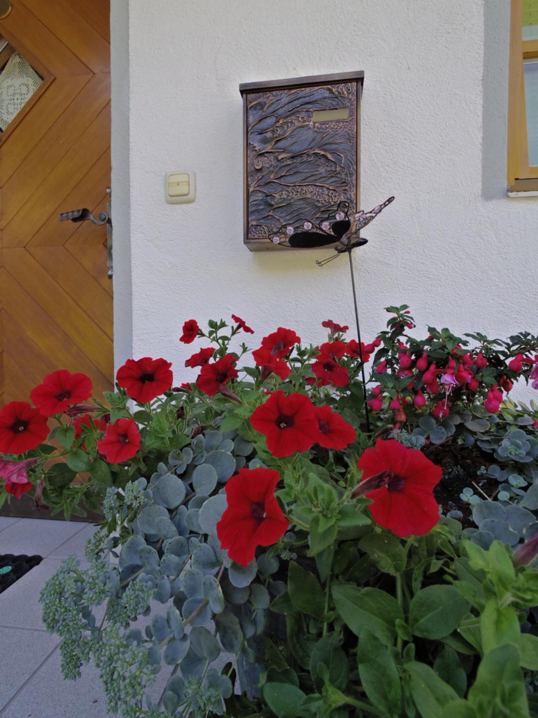 Photo 37
