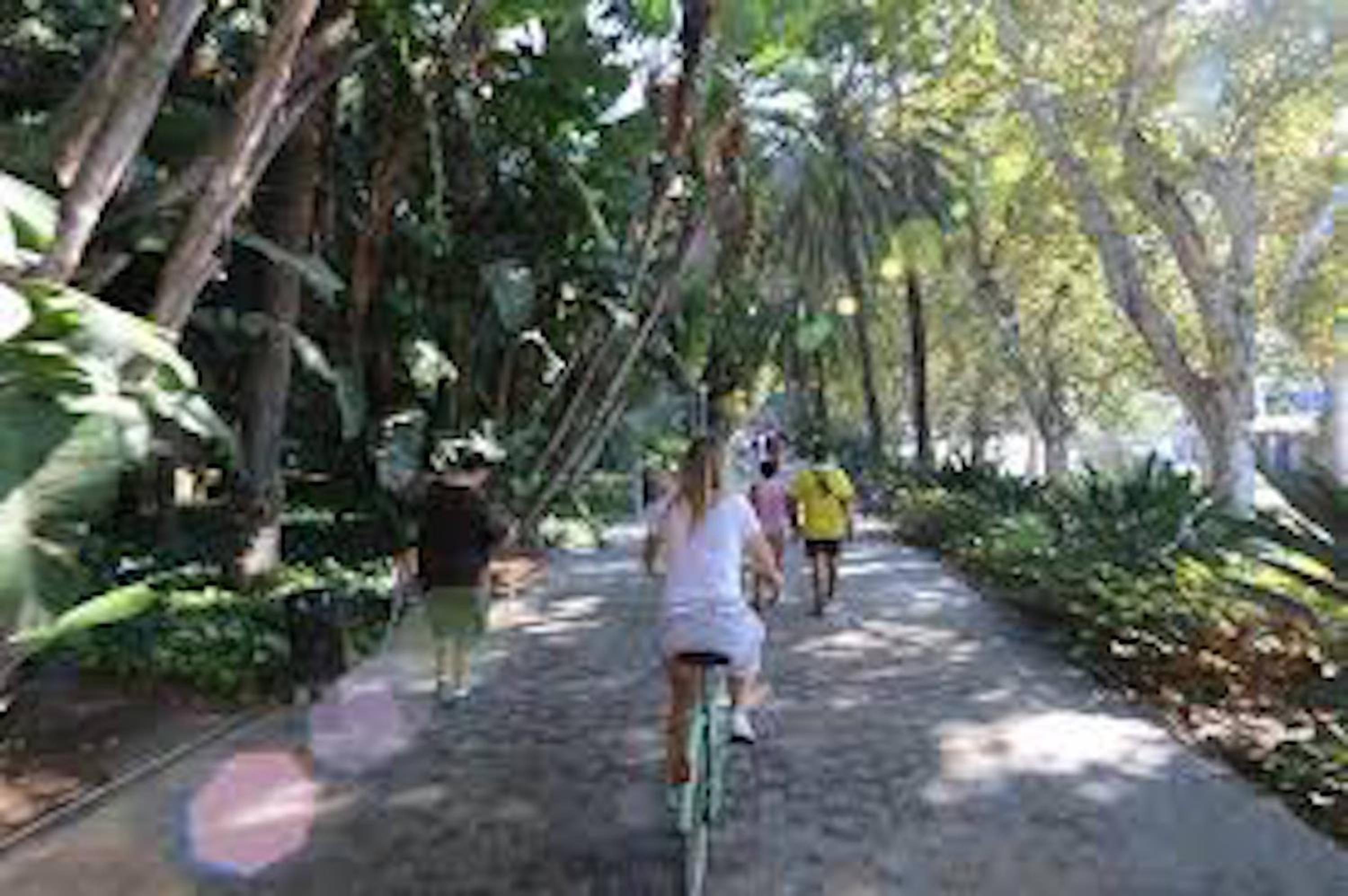 Holidays2Malaga Tomas de Heredia