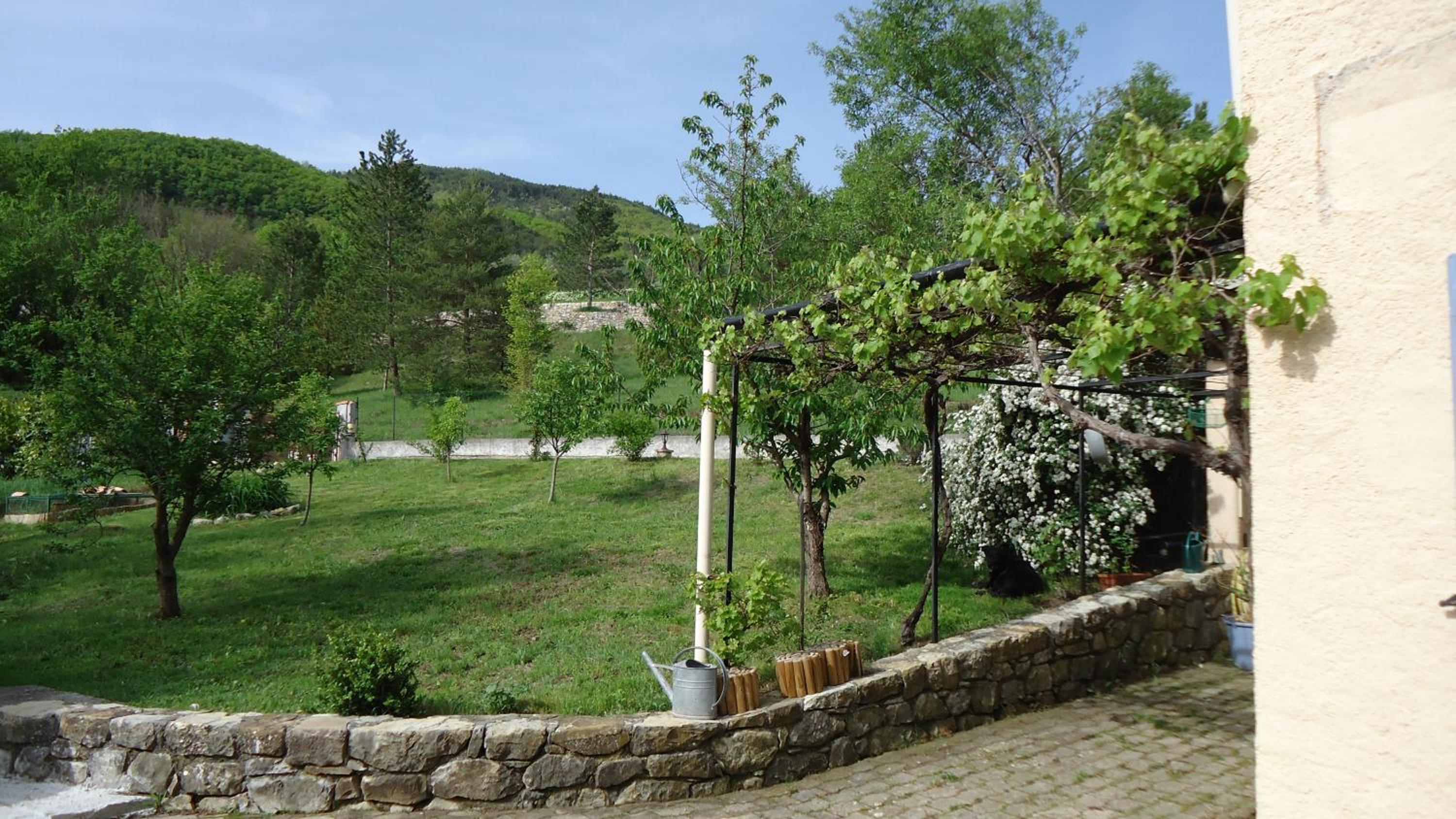 Photo 12