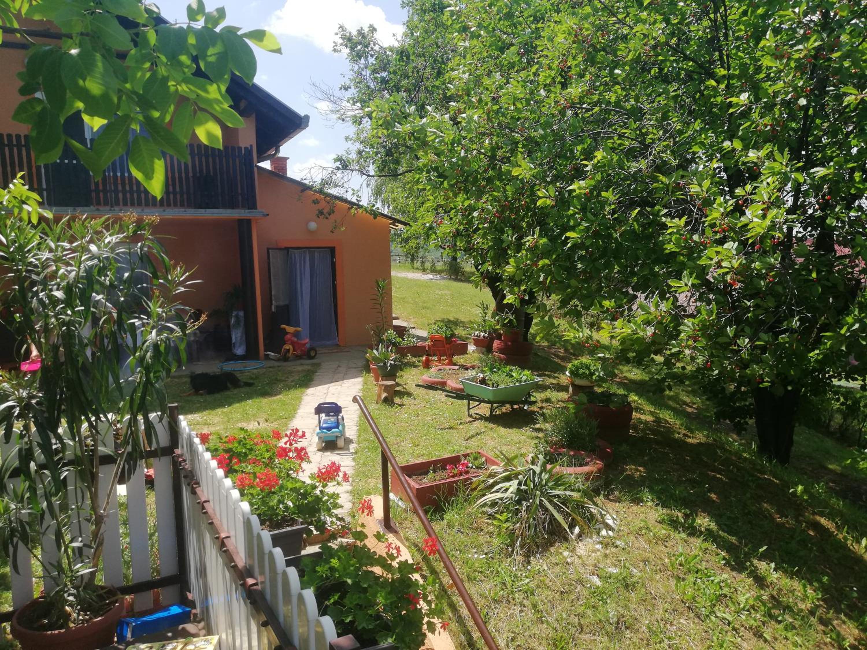 Photo 31