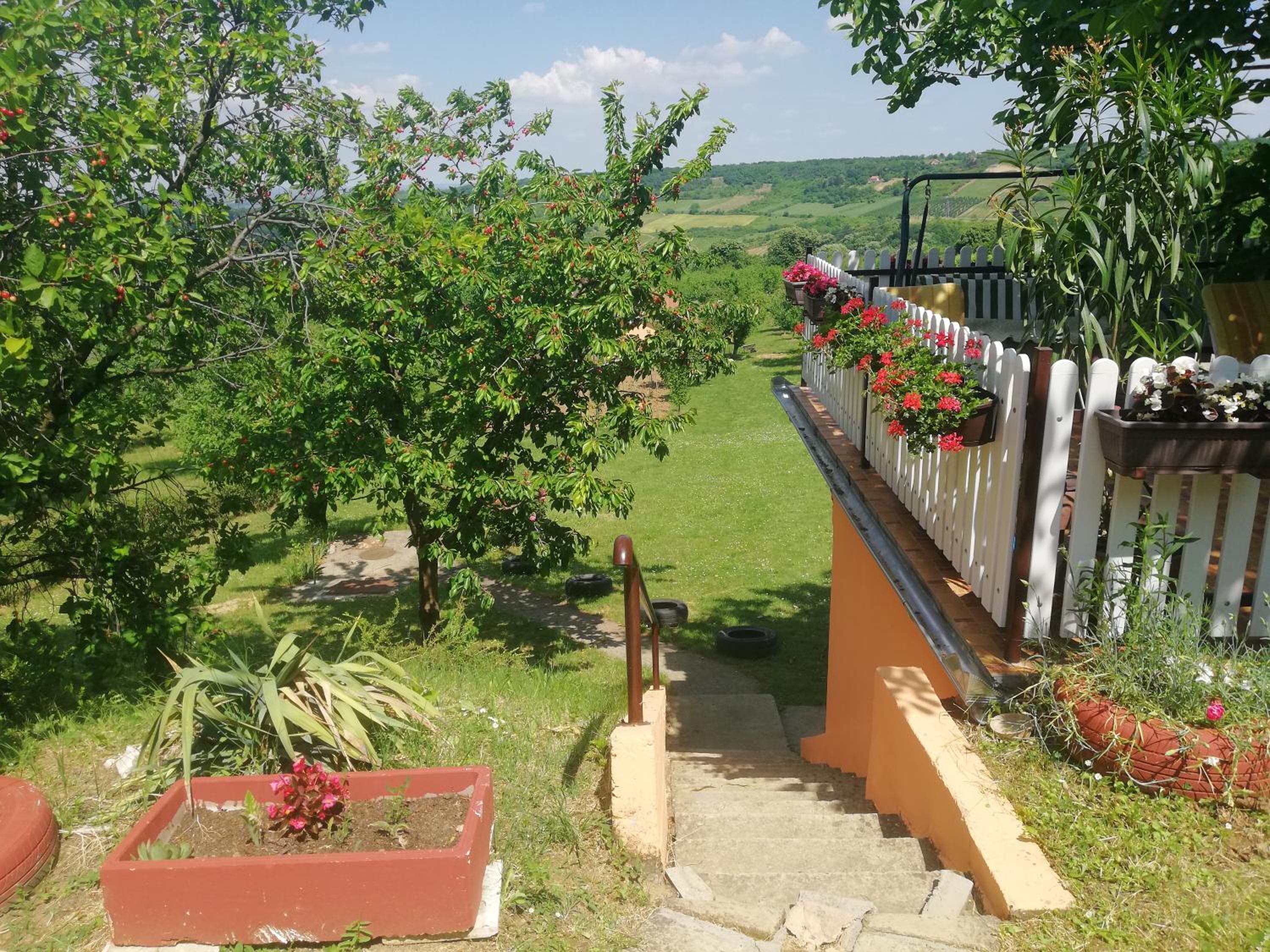 Photo 32