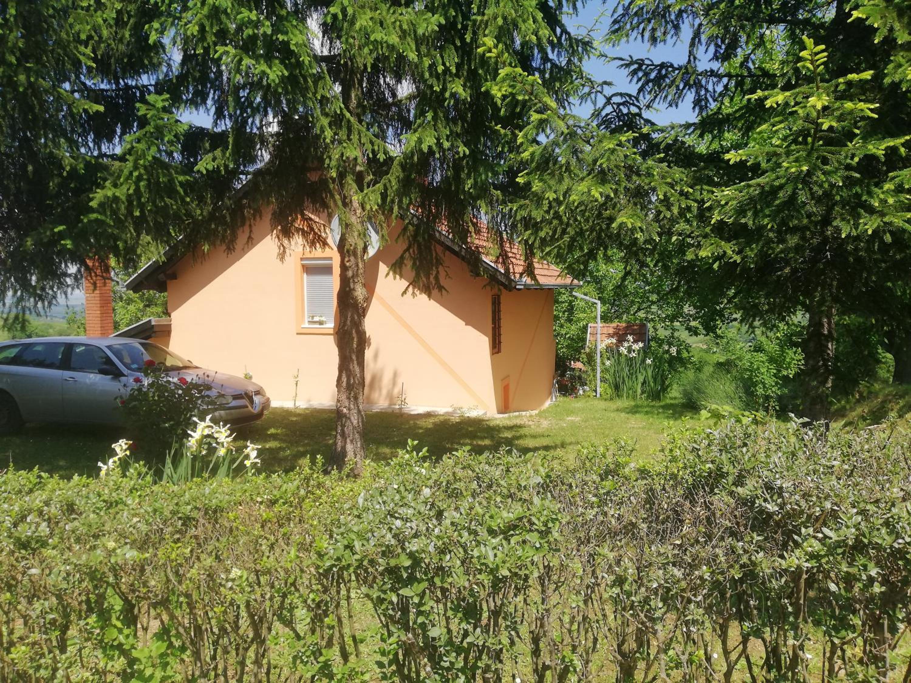 Photo 44