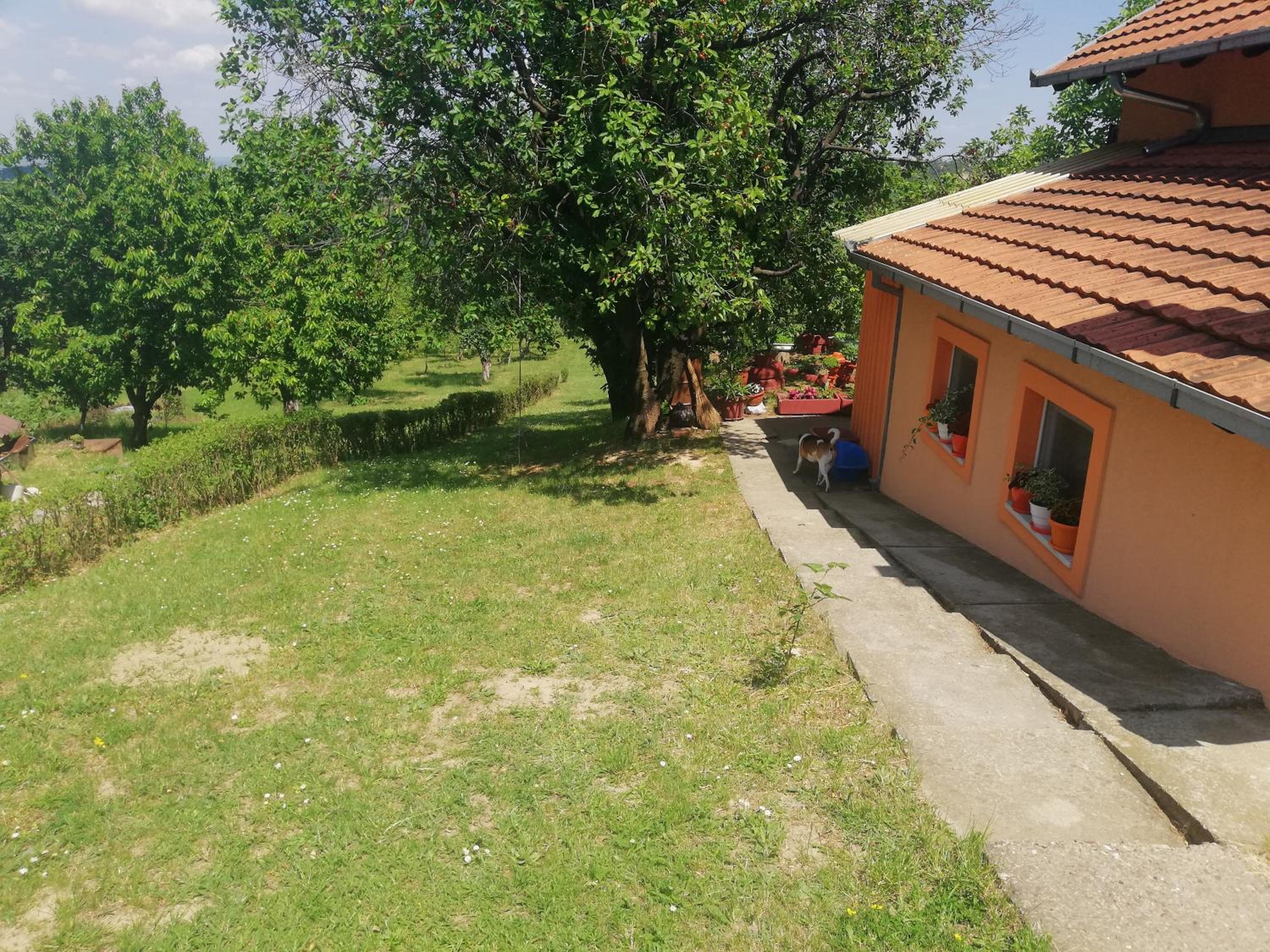 Photo 28