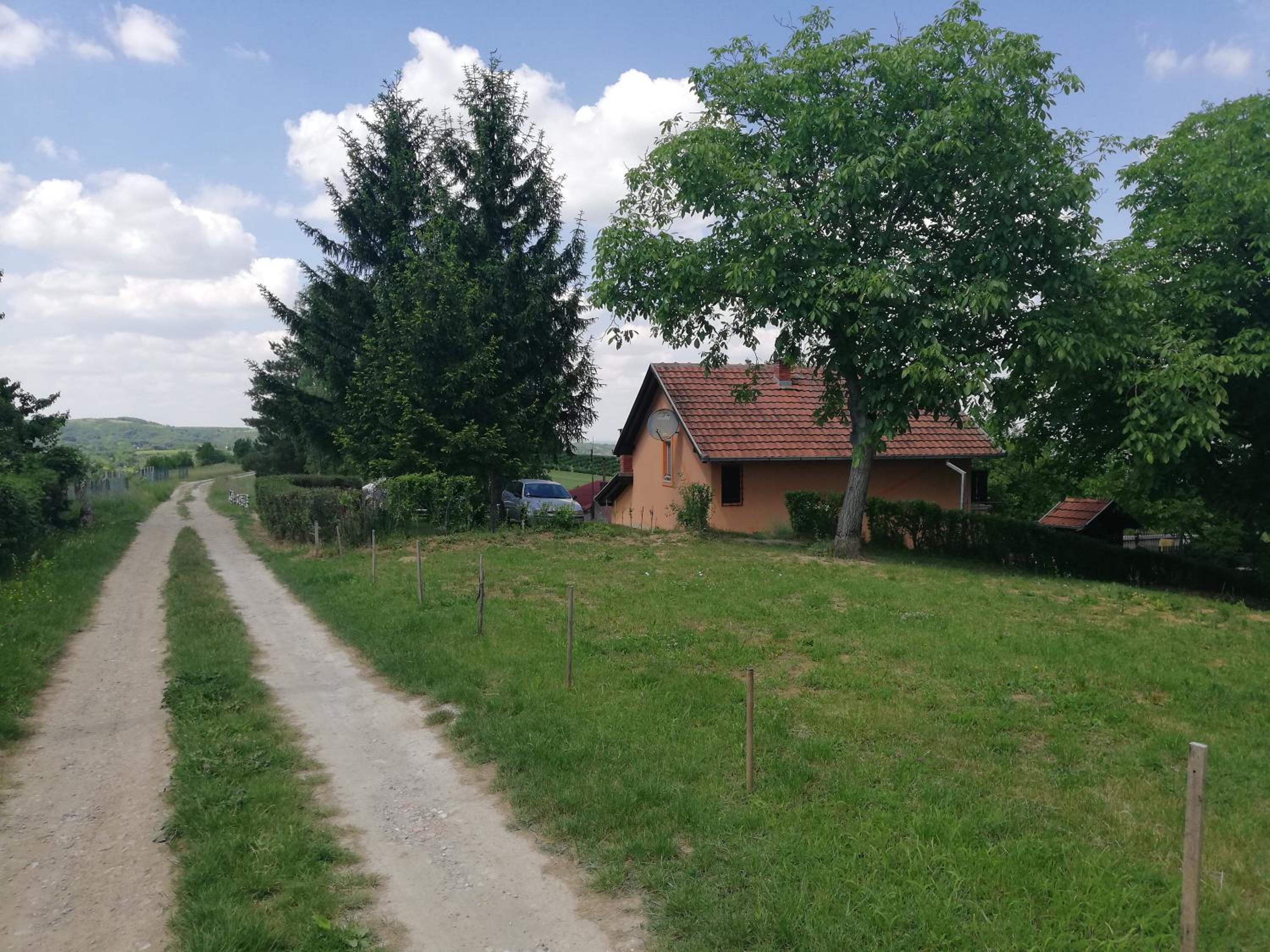 Photo 42