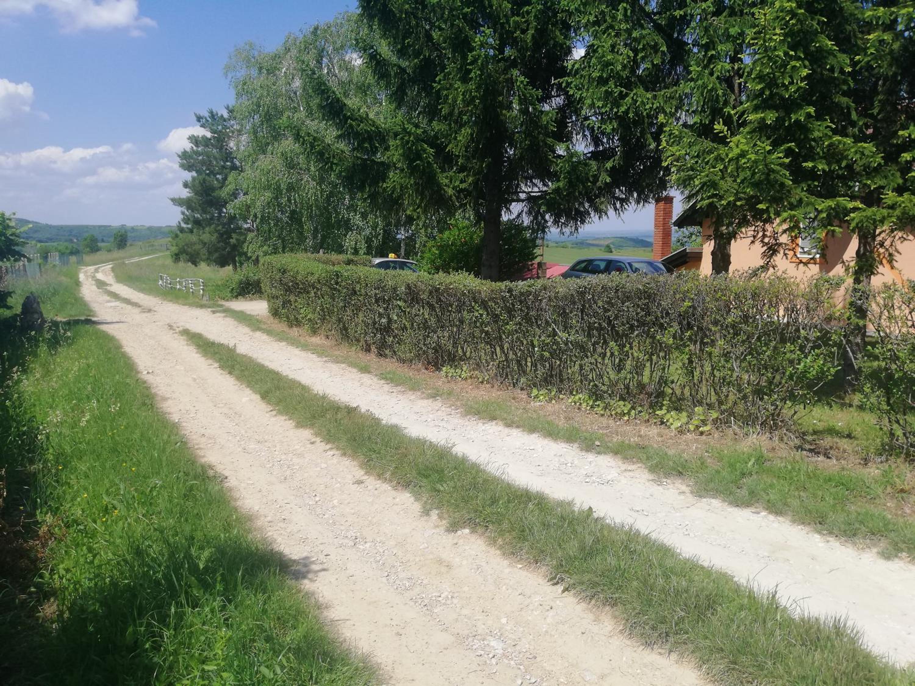Photo 43