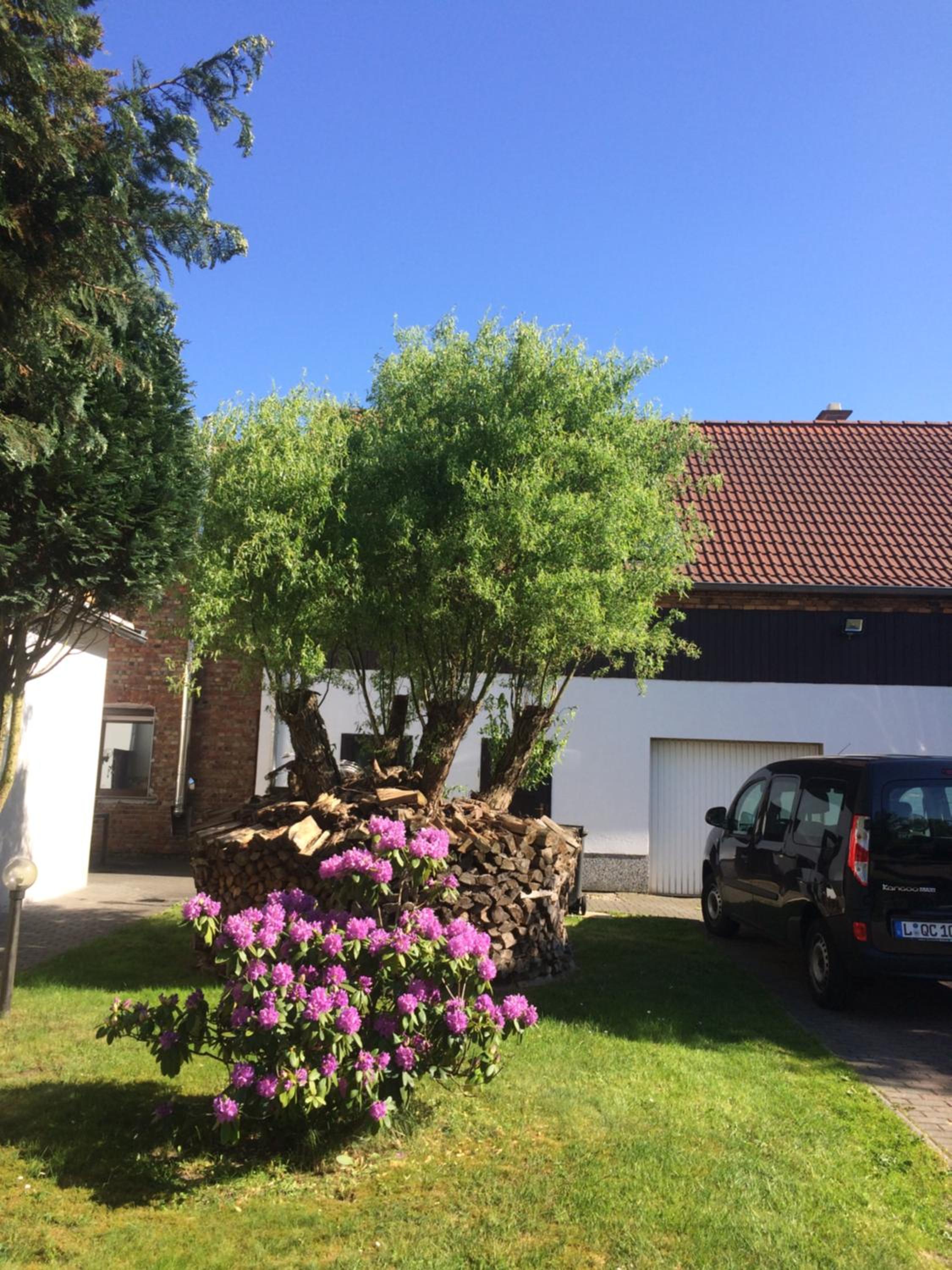 Pension Zum alten Gasthaus Hänsel