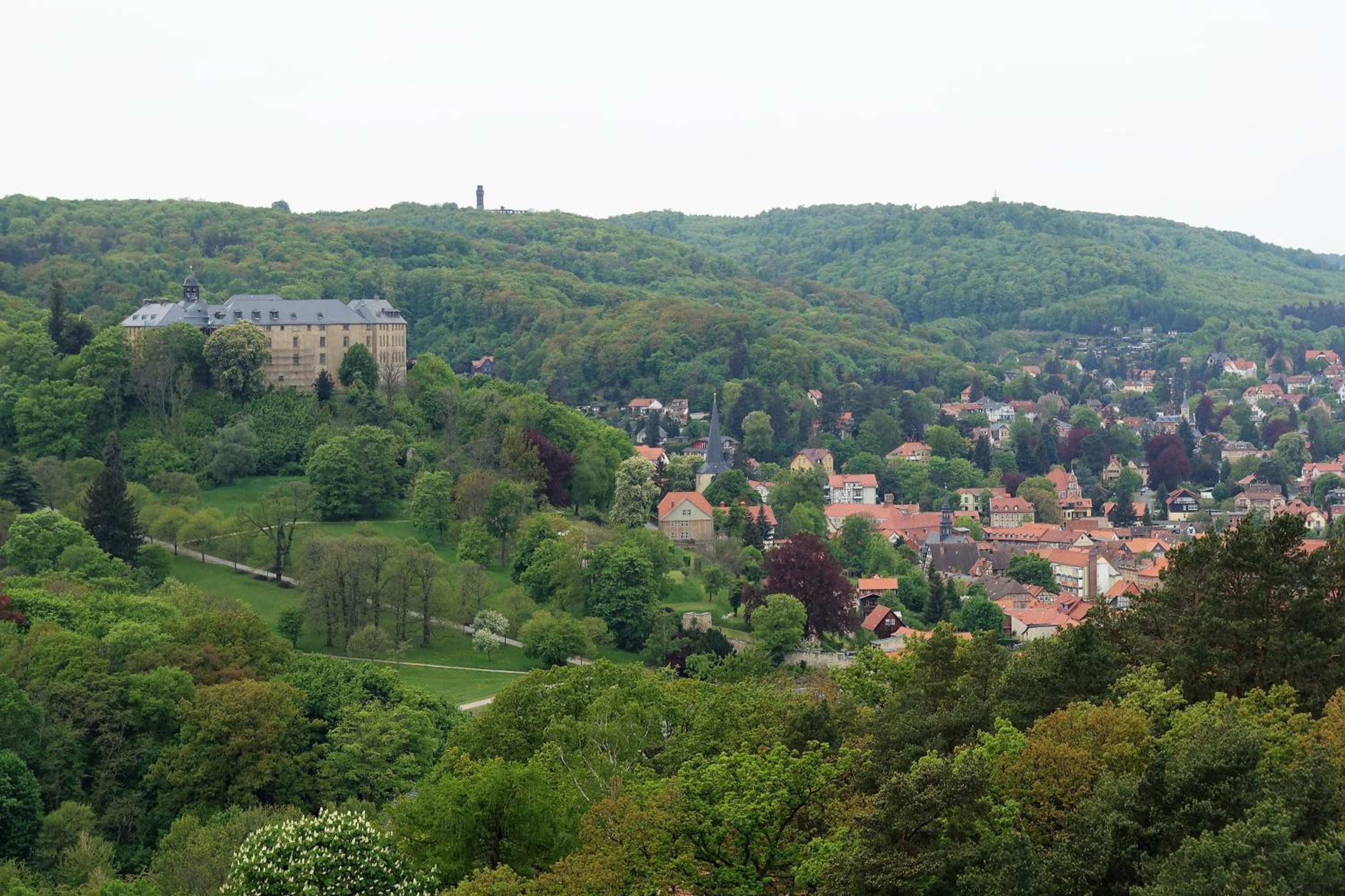 Haus Asgard FeWo perfect für Familien mit Kleinkinder und Hund, zentral gelegen im Harz