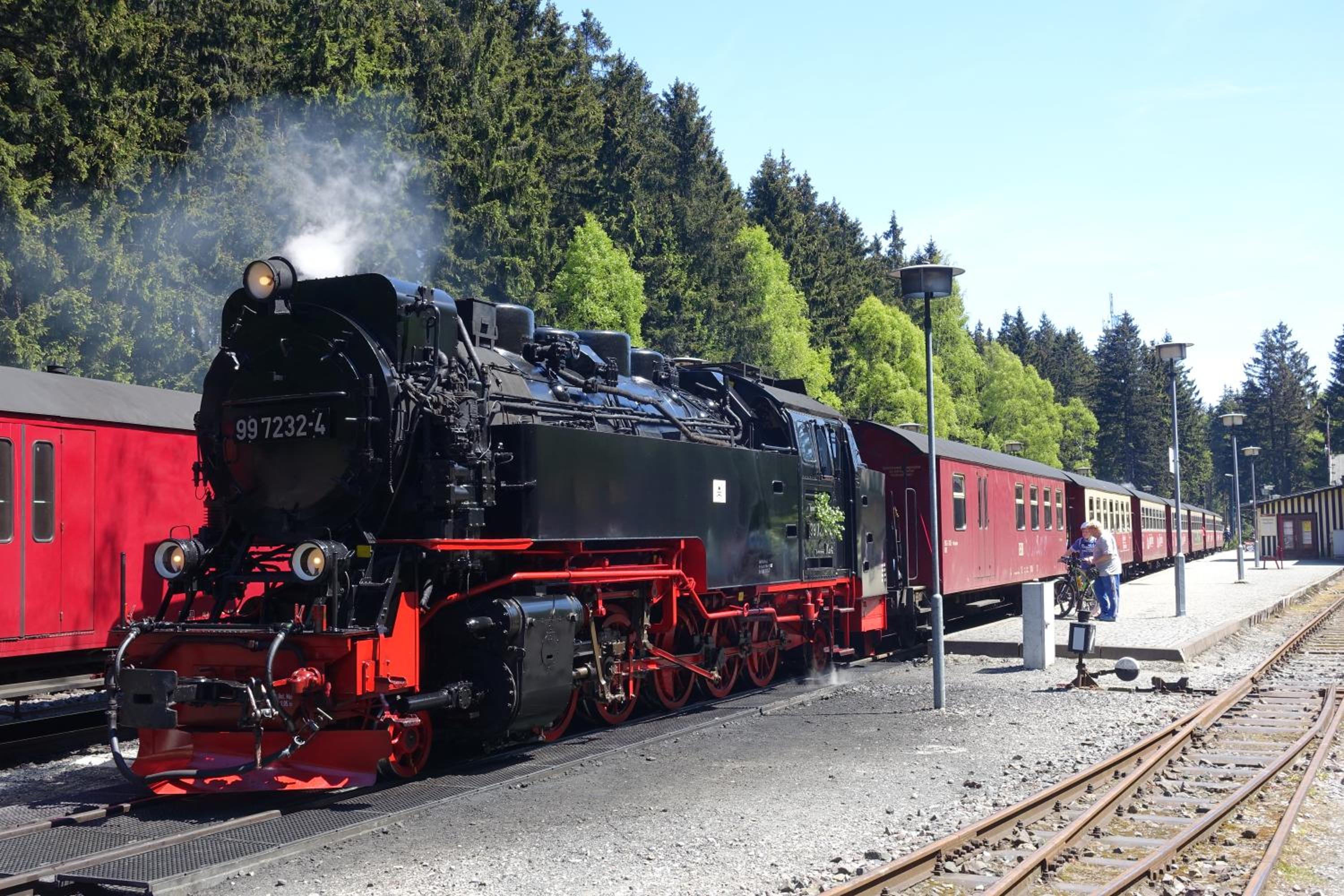 Haus Asgard FeWo perfect für Familien mit Kleinkinder und Hund, zentral gelegen im Harz