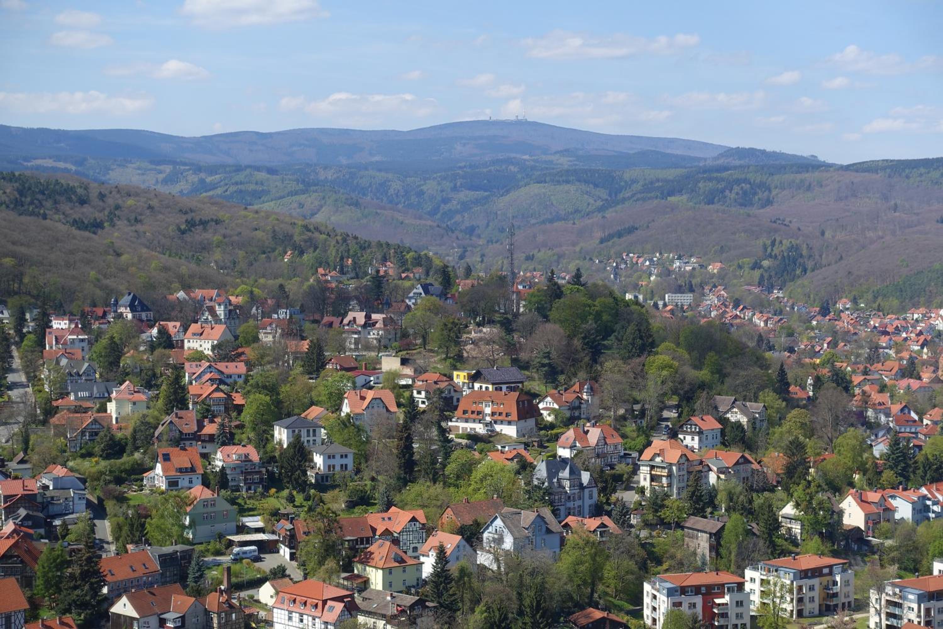 Haus Asgard FeWo perfect für Familien mit Kleinkinder und Hund, zentral gelegen im Harz