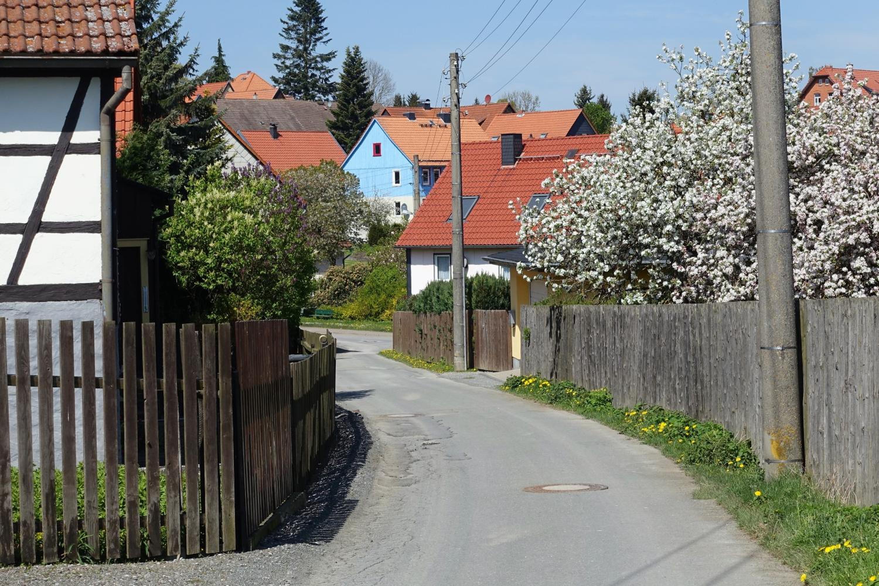 Haus Asgard FeWo perfect für Familien mit Kleinkinder und Hund, zentral gelegen im Harz