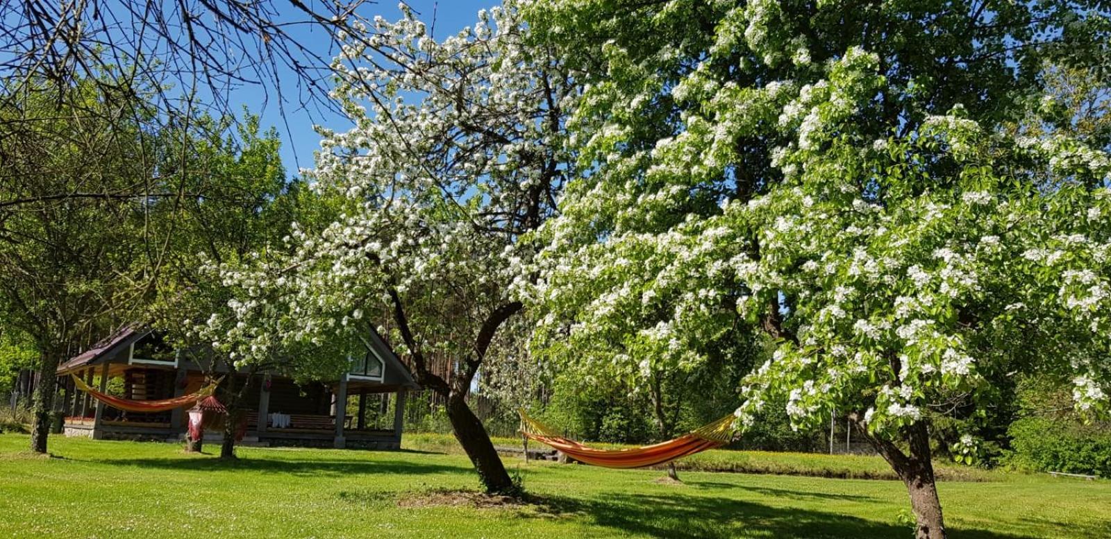 Guest House Ziedkalni