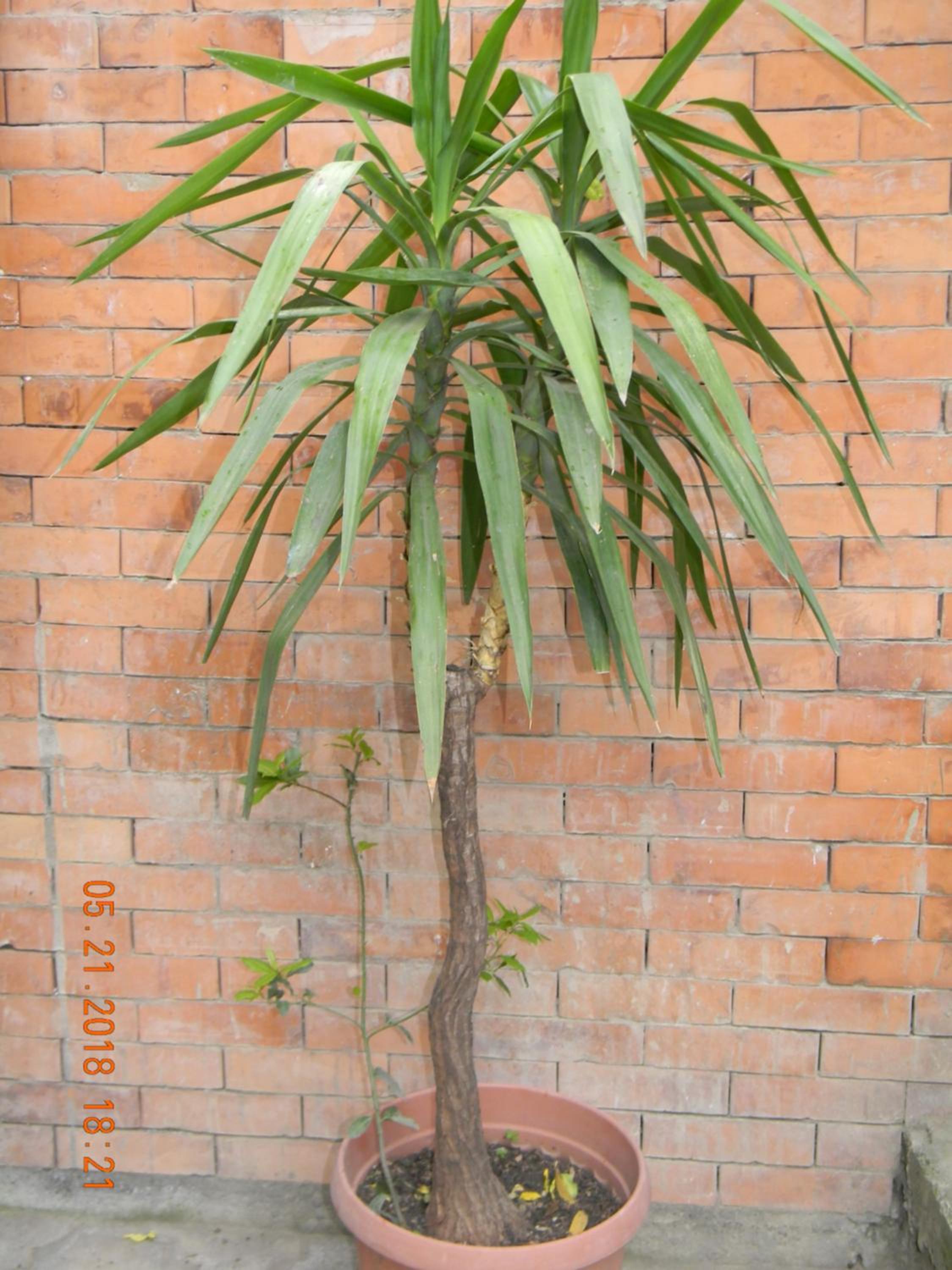 Photo 40