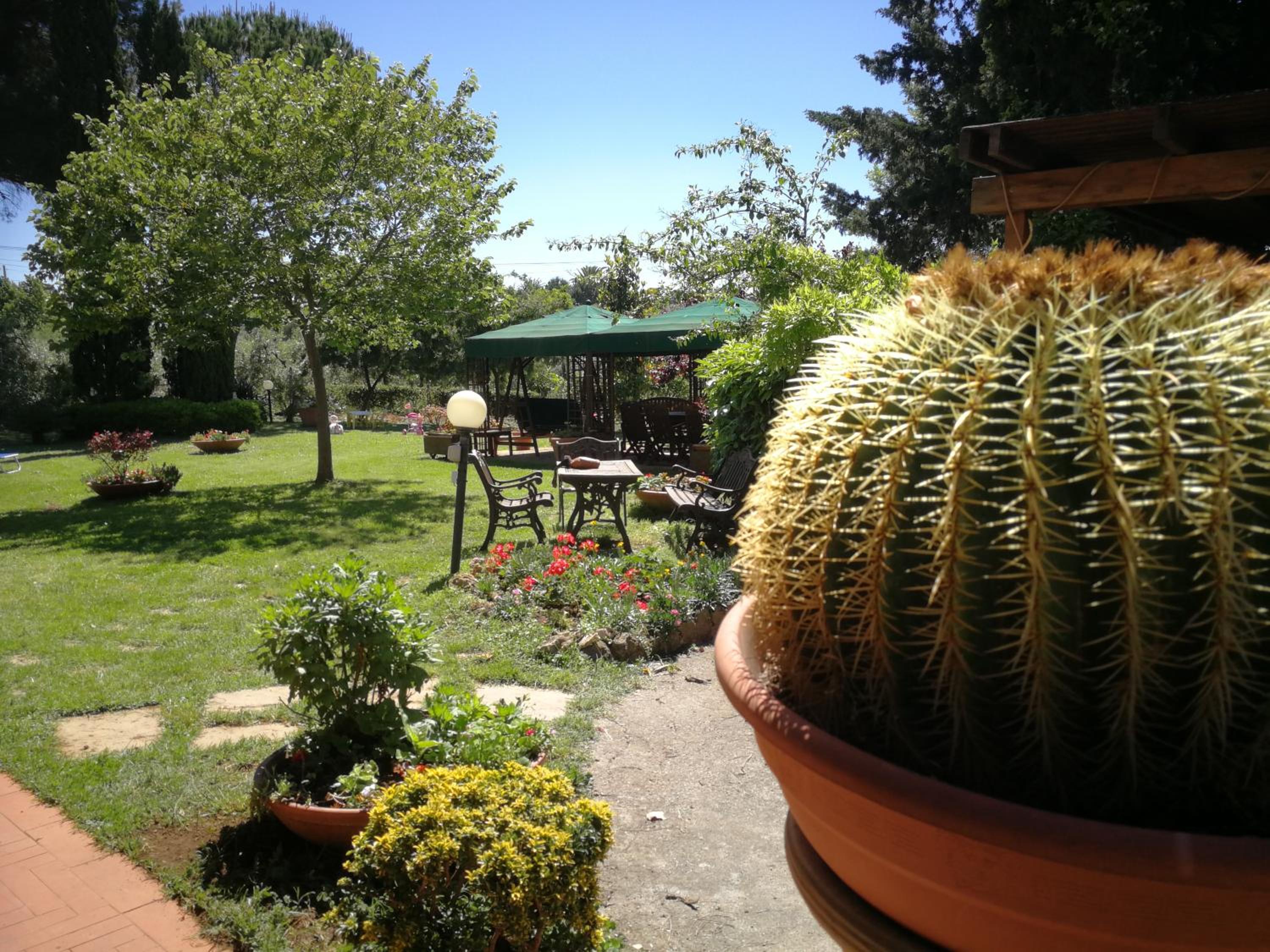 Photo 39