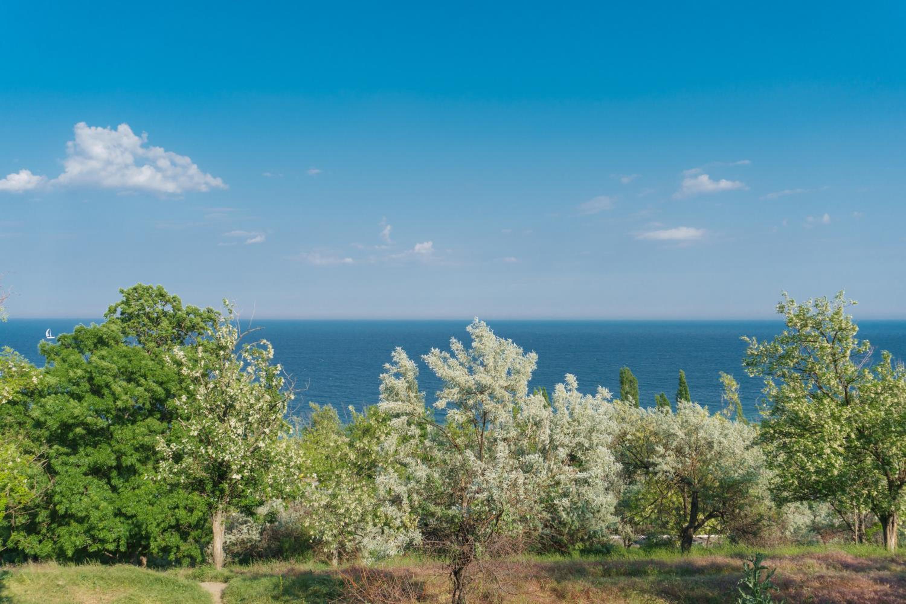 Authentic Odessa Dacha view 2