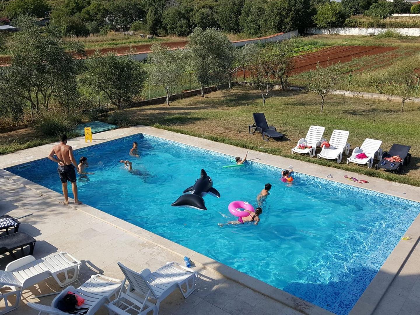 Apartments Šeherzada