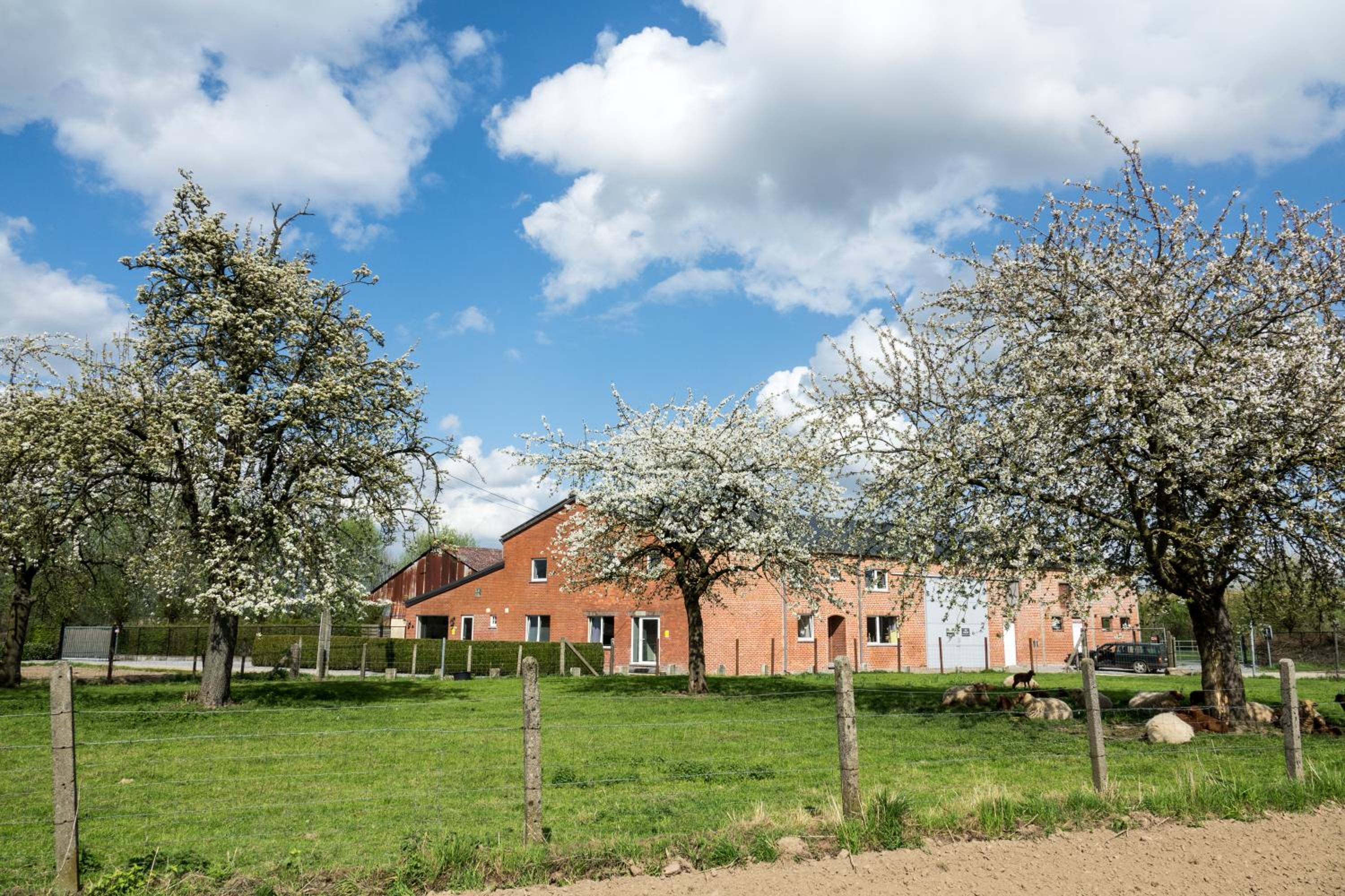 DE SMISHOEVE met kinderpret, dieren en wellness