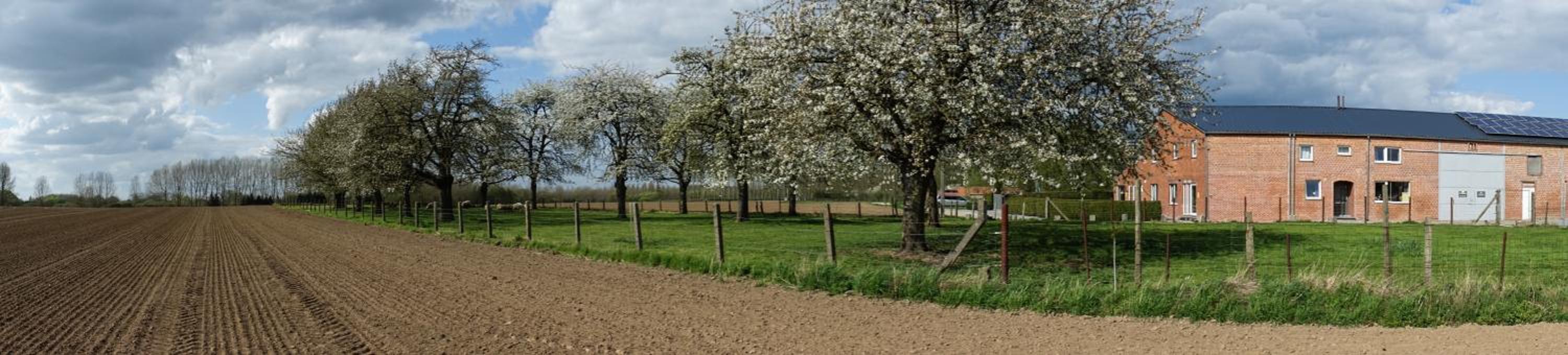 DE SMISHOEVE met kinderpret, dieren en wellness
