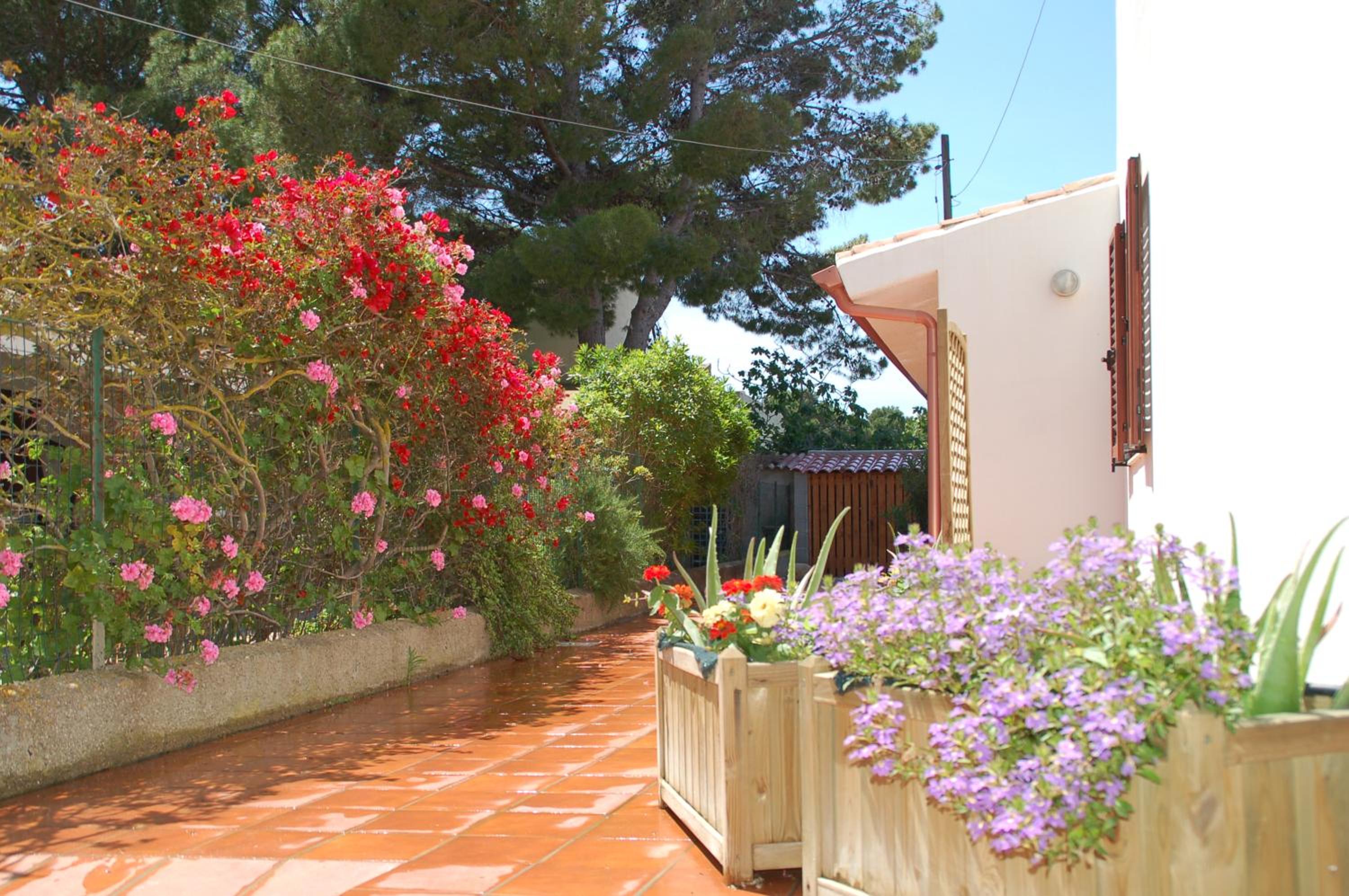 Lucia Holiday House Porto Pino view 5
