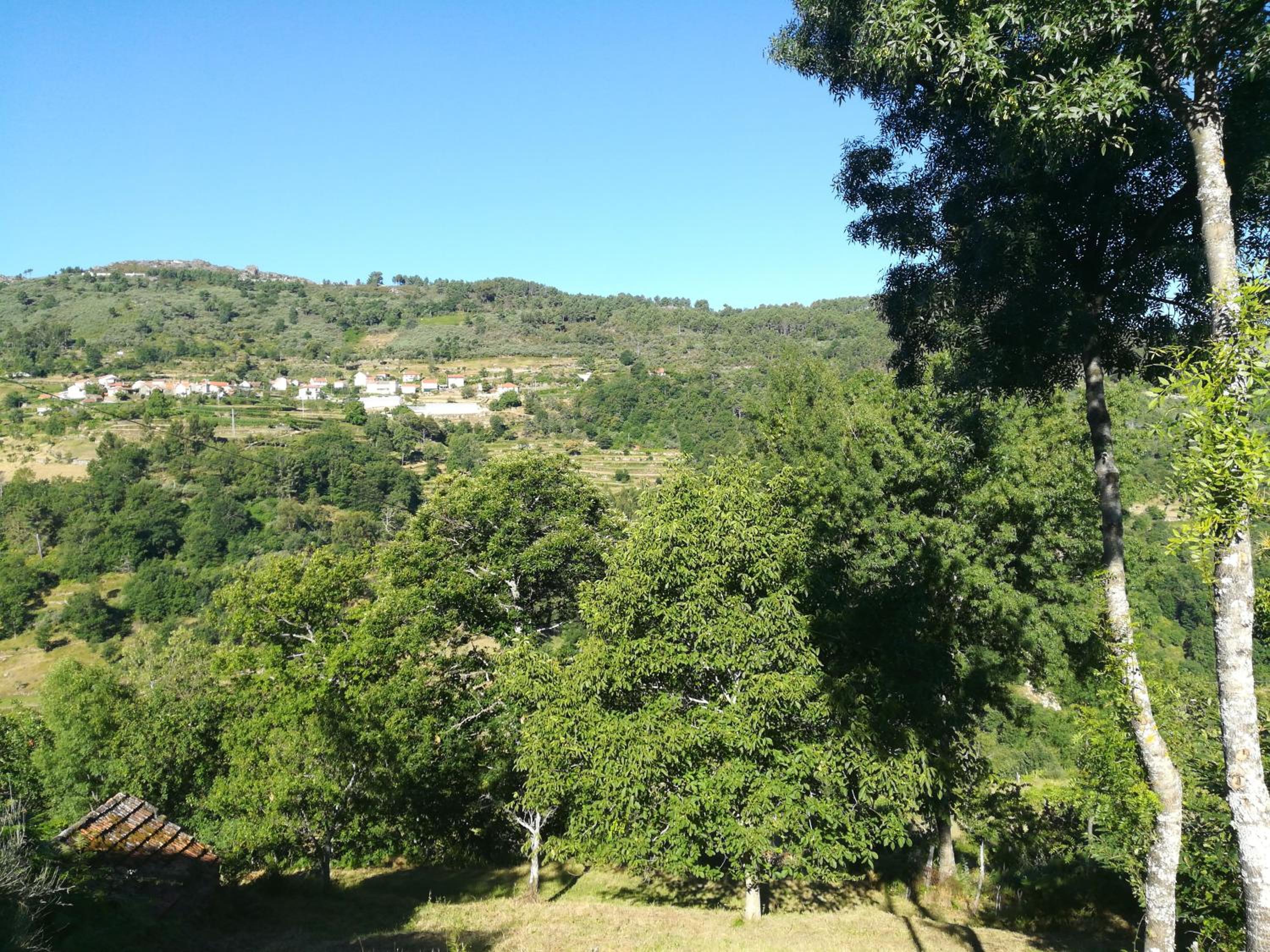 Quinta do Sol - Soutelo view 4