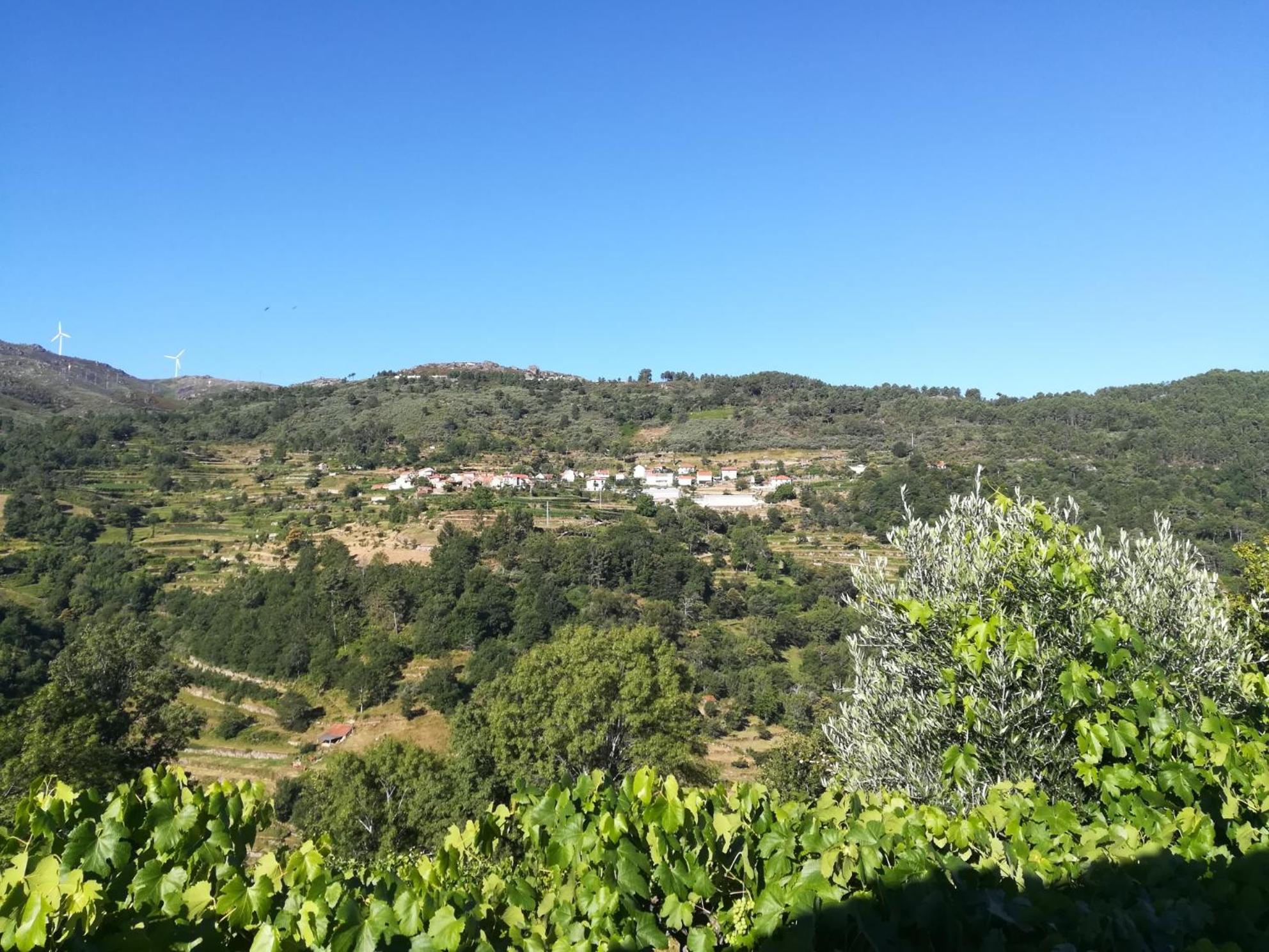 Quinta do Sol - Soutelo view 3