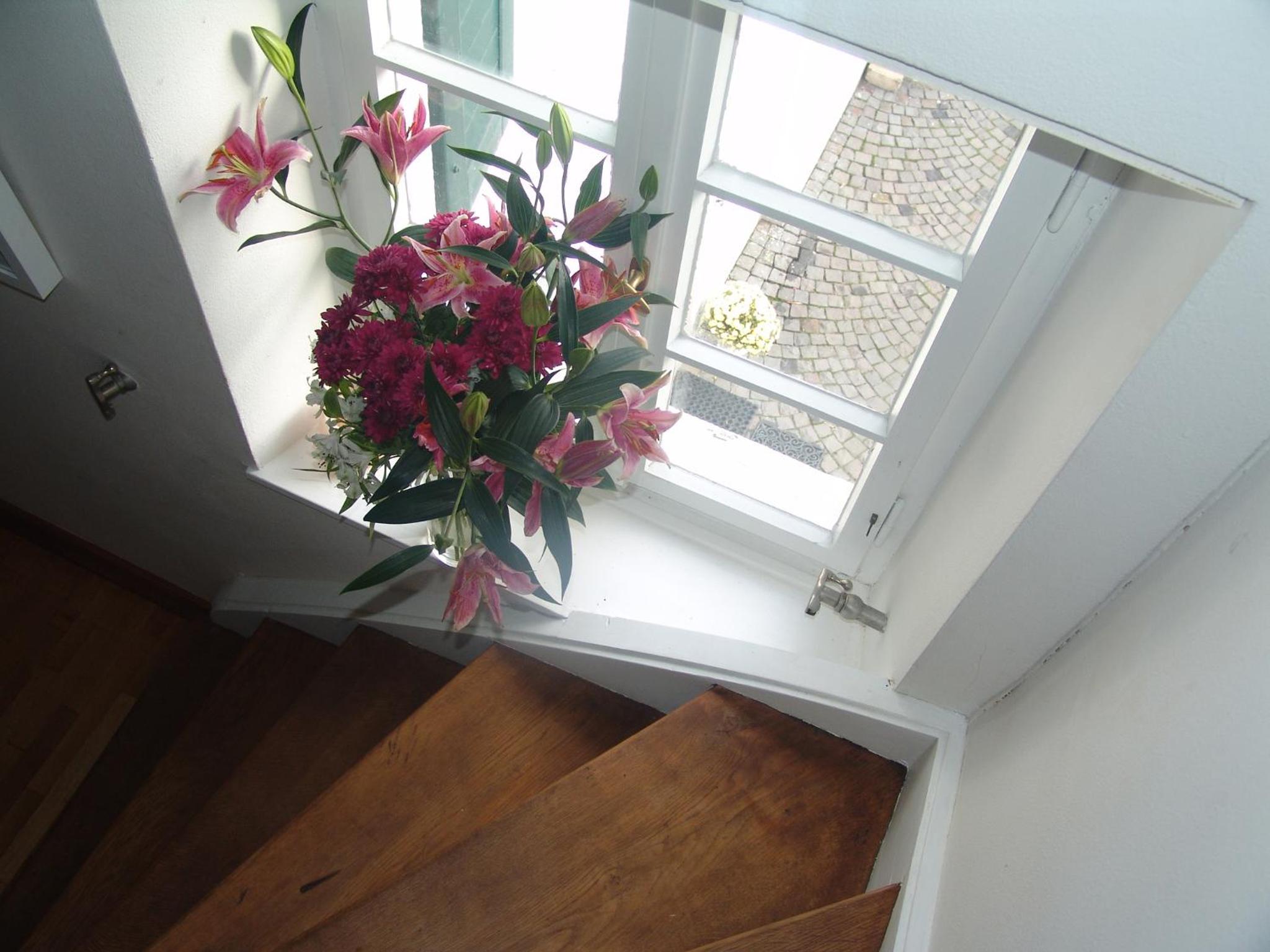 Rhein River Guesthouse - direkt am Rhein