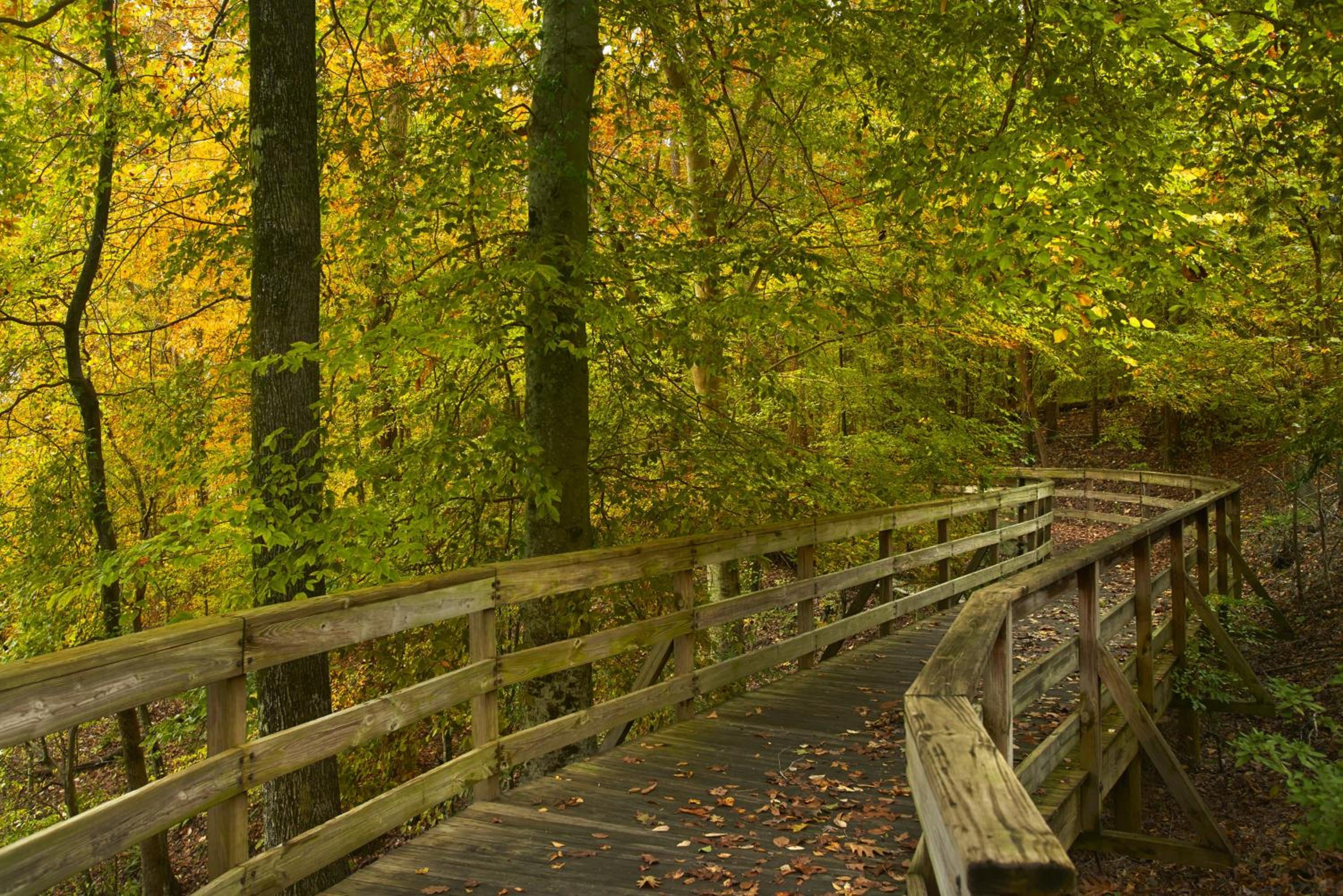 Atlanta Evergreen Lakeside Resort - Property Image 5